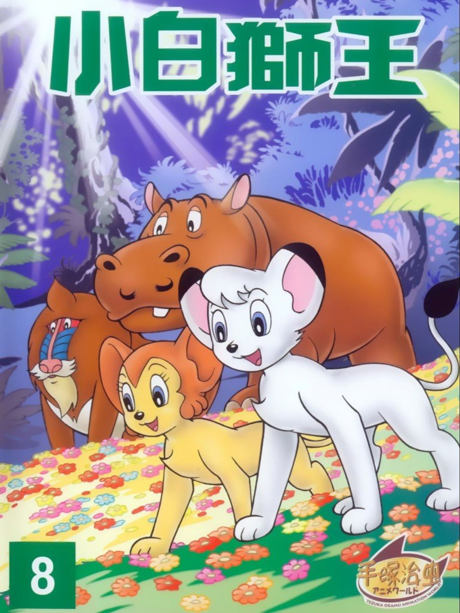 Carátula del DVD japonés.