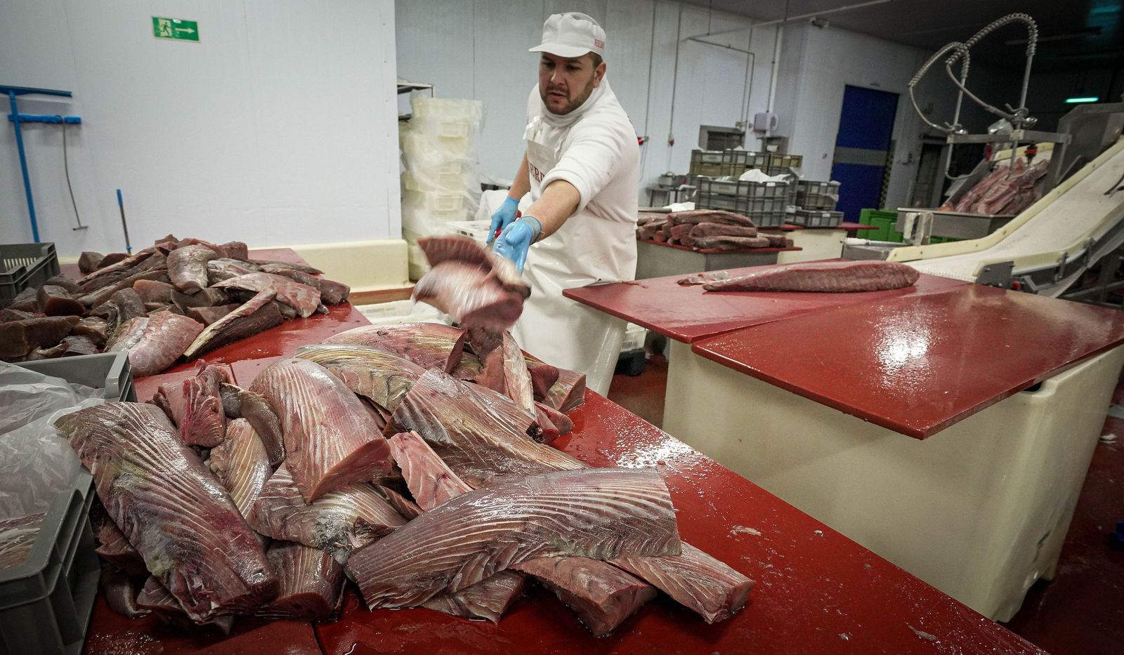 Imágenes de una tradición viva: Herpac por dentro