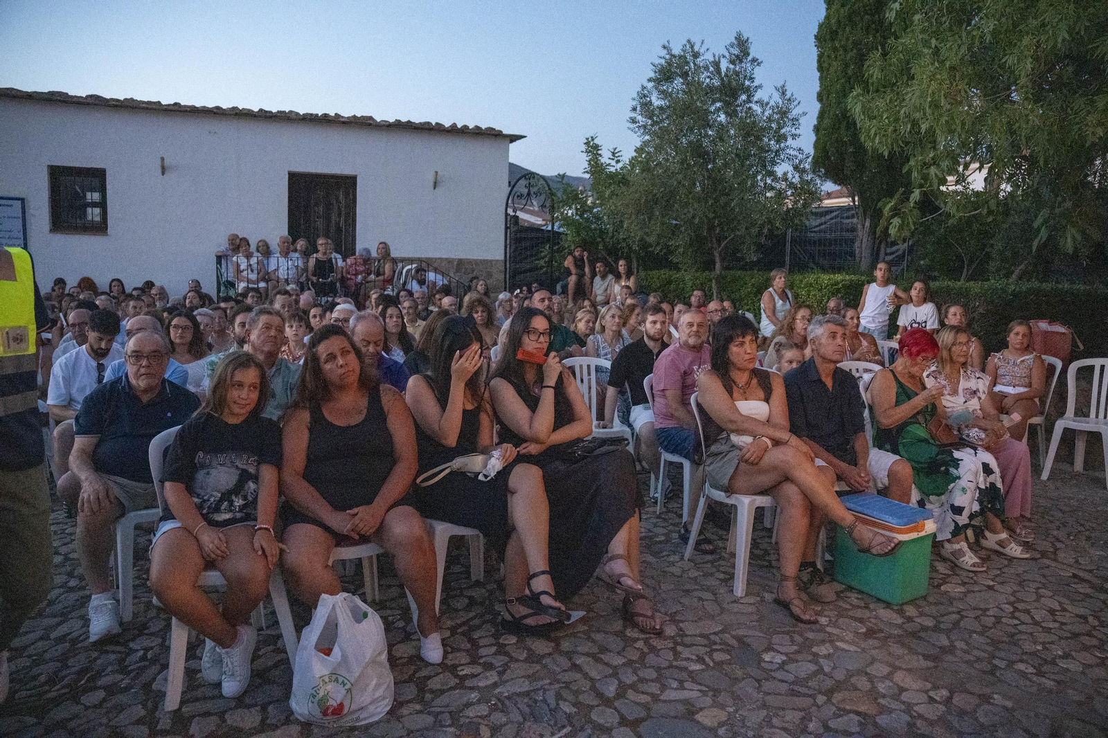 Las mejores imágenes del Festival de Flamenco en Fondón