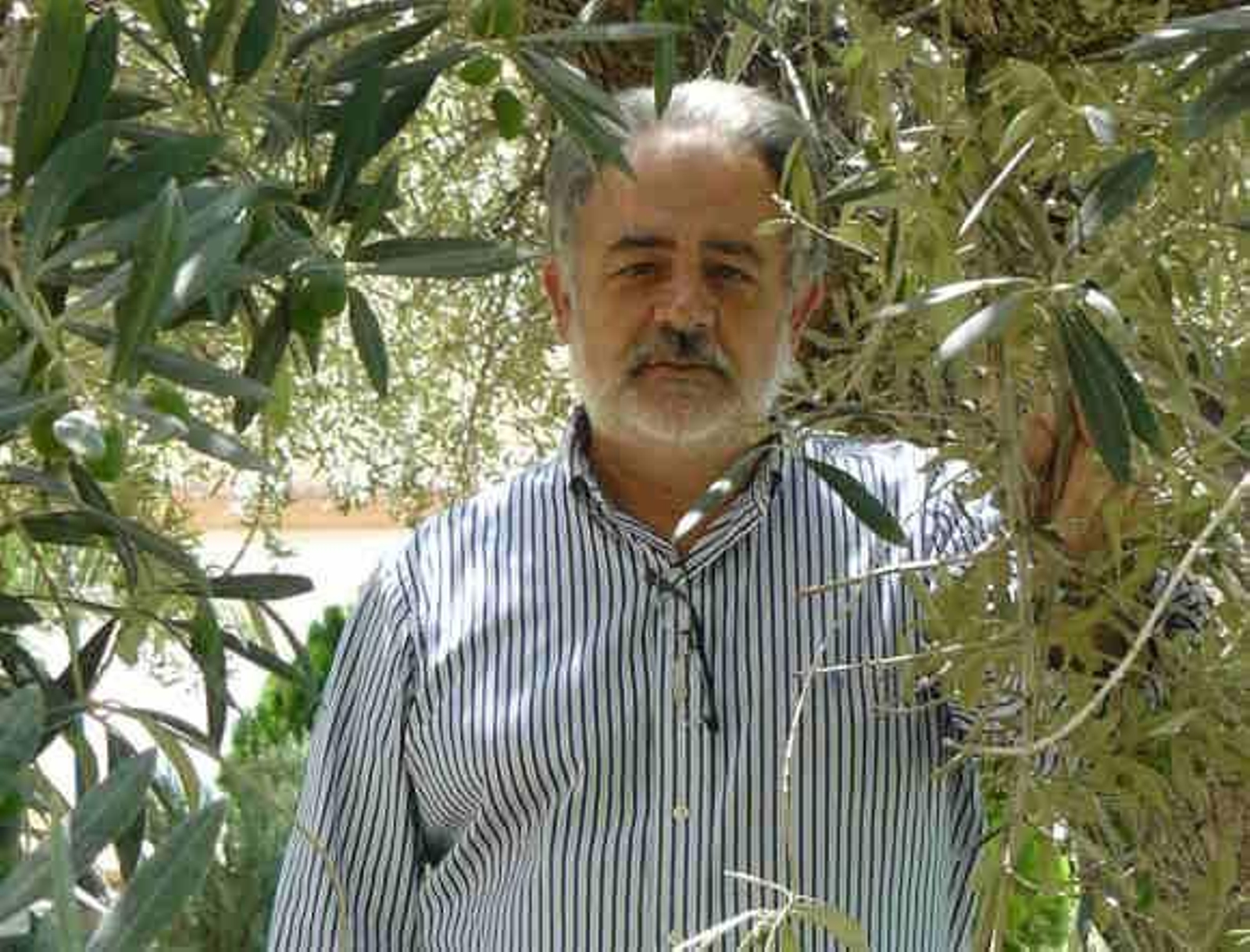 “Comarca del Desierto será marca de calidad fuera de la provincia”