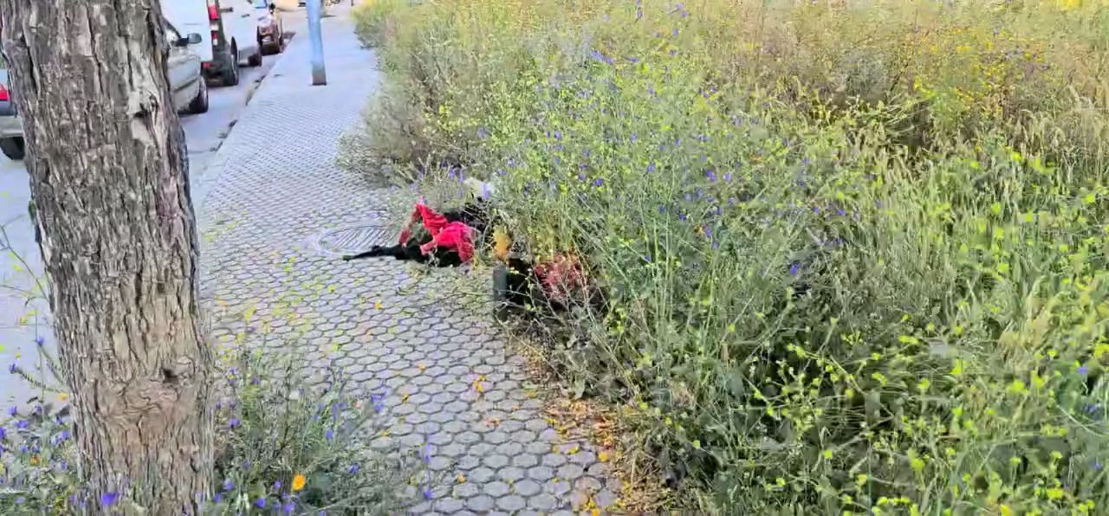 El Saladillo, un parque natural por sorpresa en Algeciras: los vecinos ironizan sobre el abandono del barrio en un vídeo