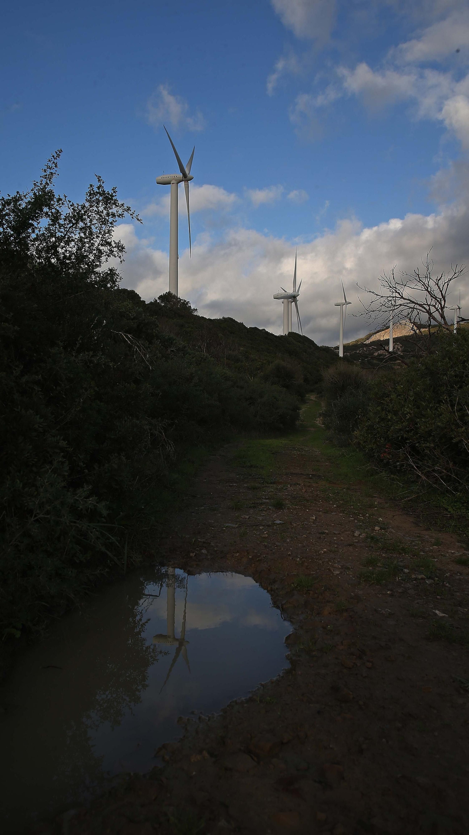 Fotos del sendero del Cerro del Tambor en Algeciras