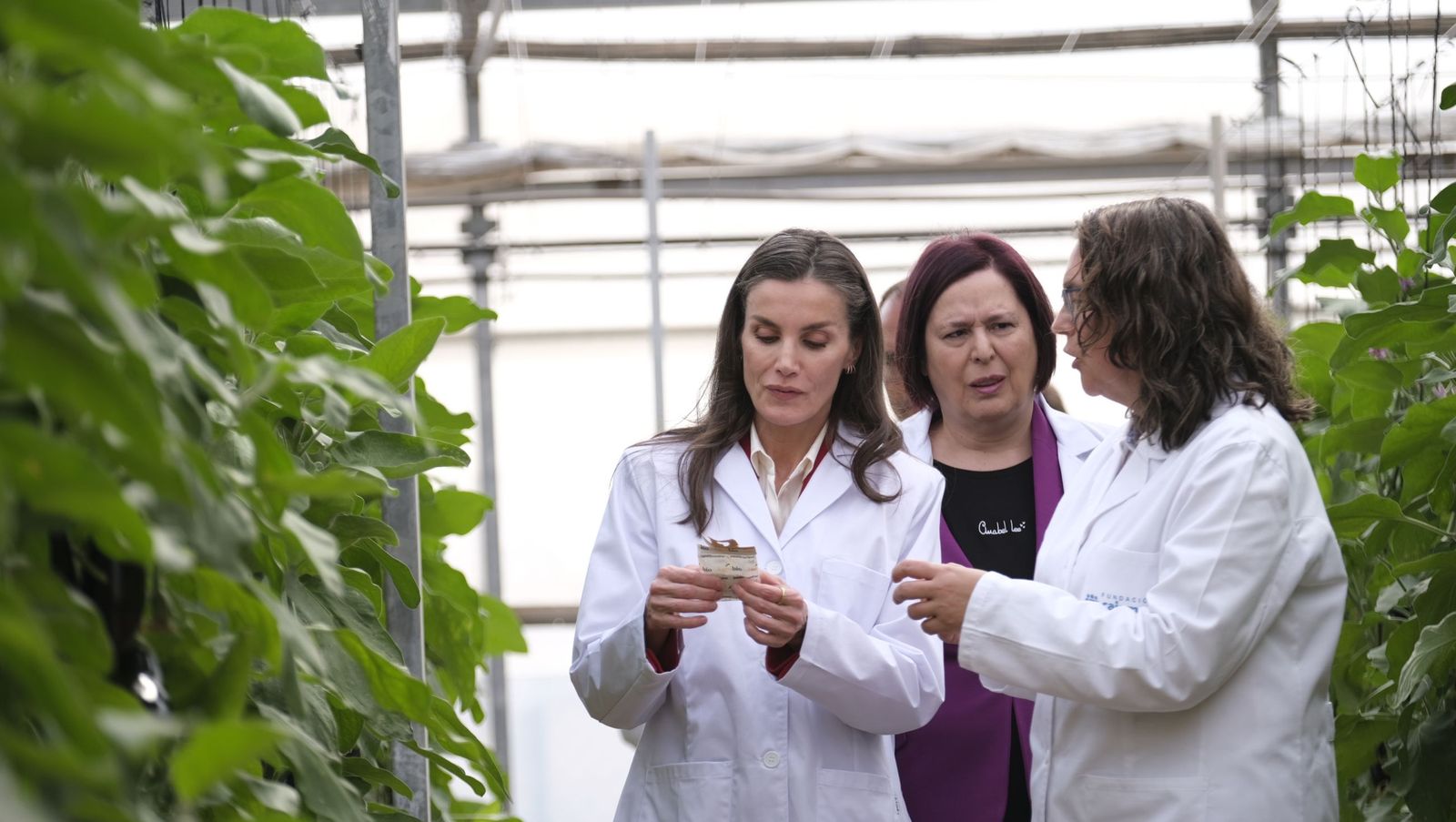 La visita de la reina Letizia a El Ejido, en imágenes