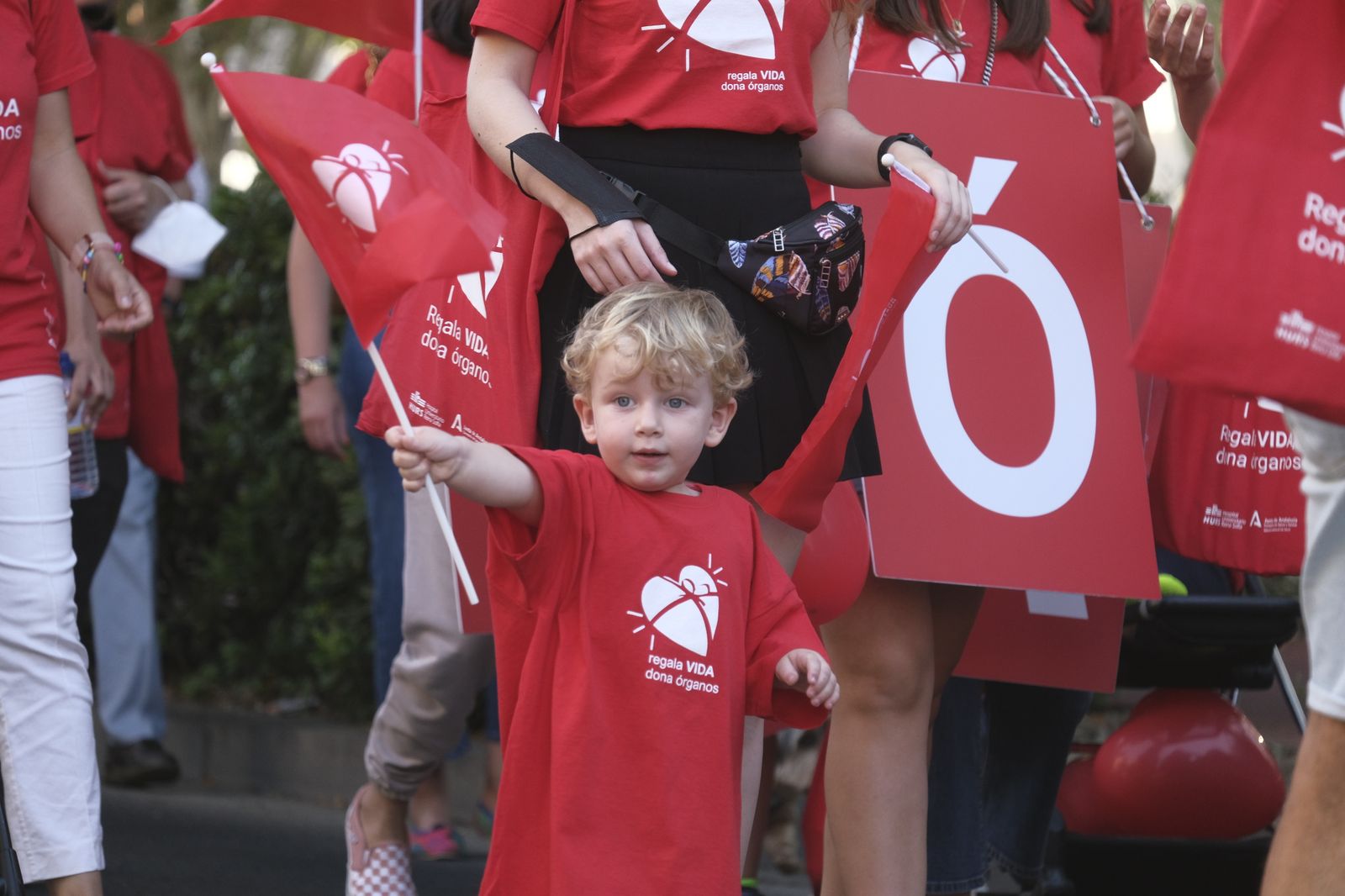 La Marcha por la Donación de Órganos de Córdoba, en imágenes