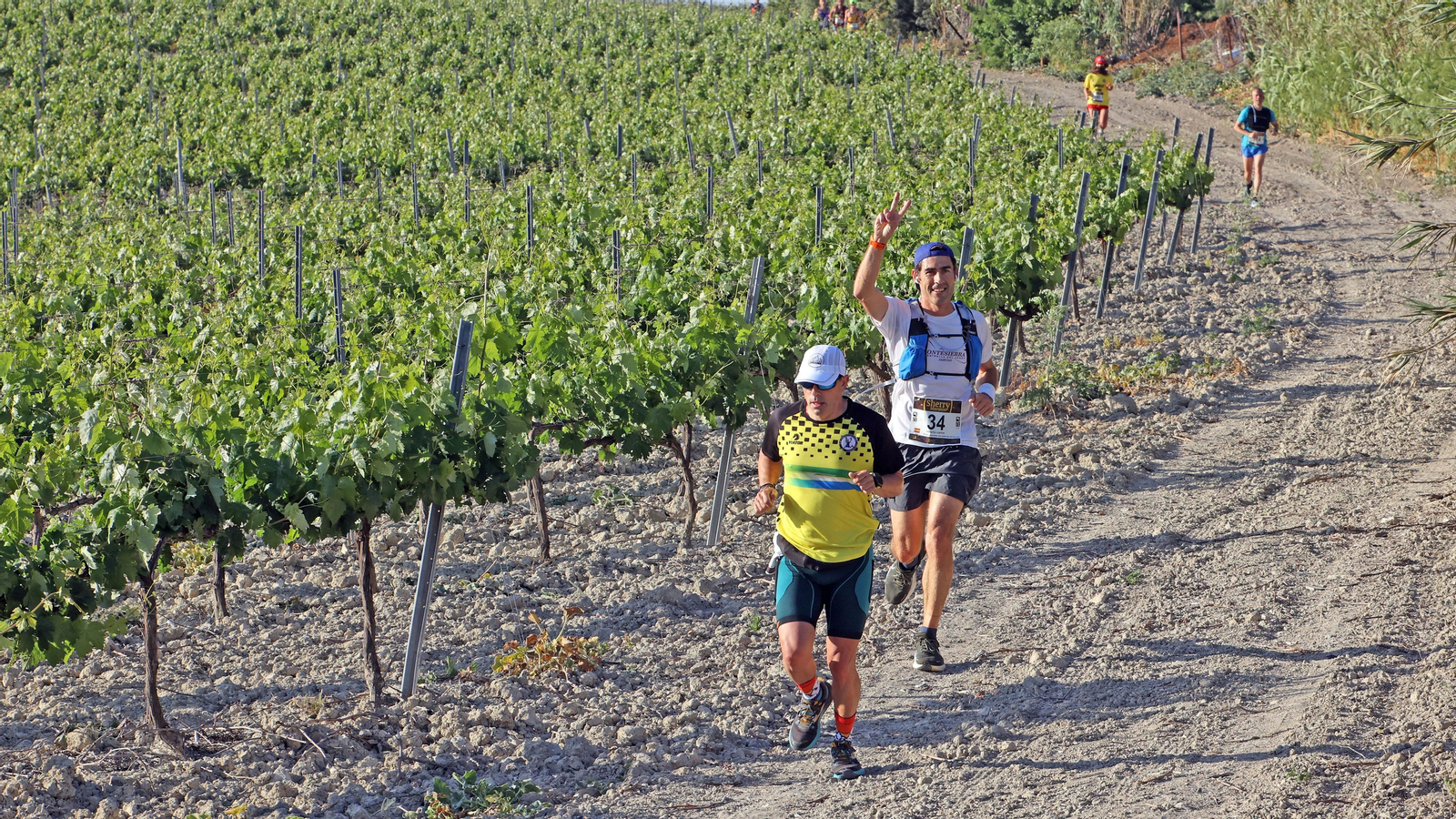 VI Sherry Maratón Jerez