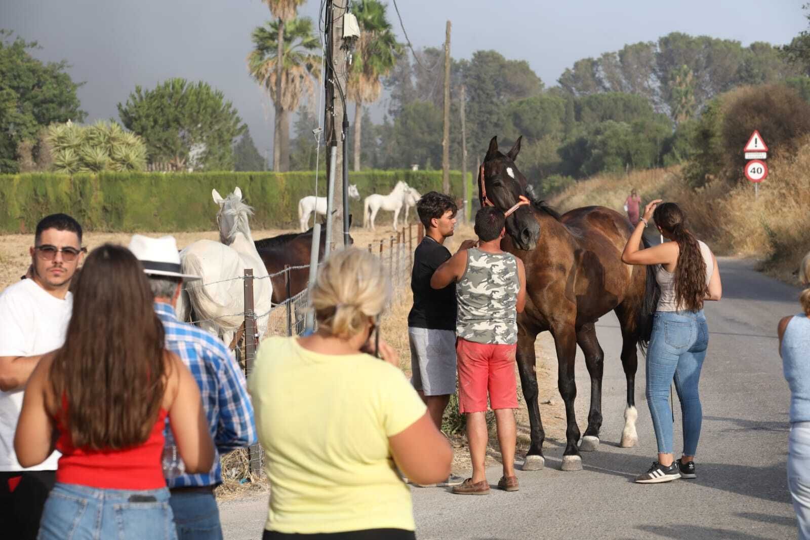 Incendio en Jerez: desalojos por precaución en el Serrallo y La Teja