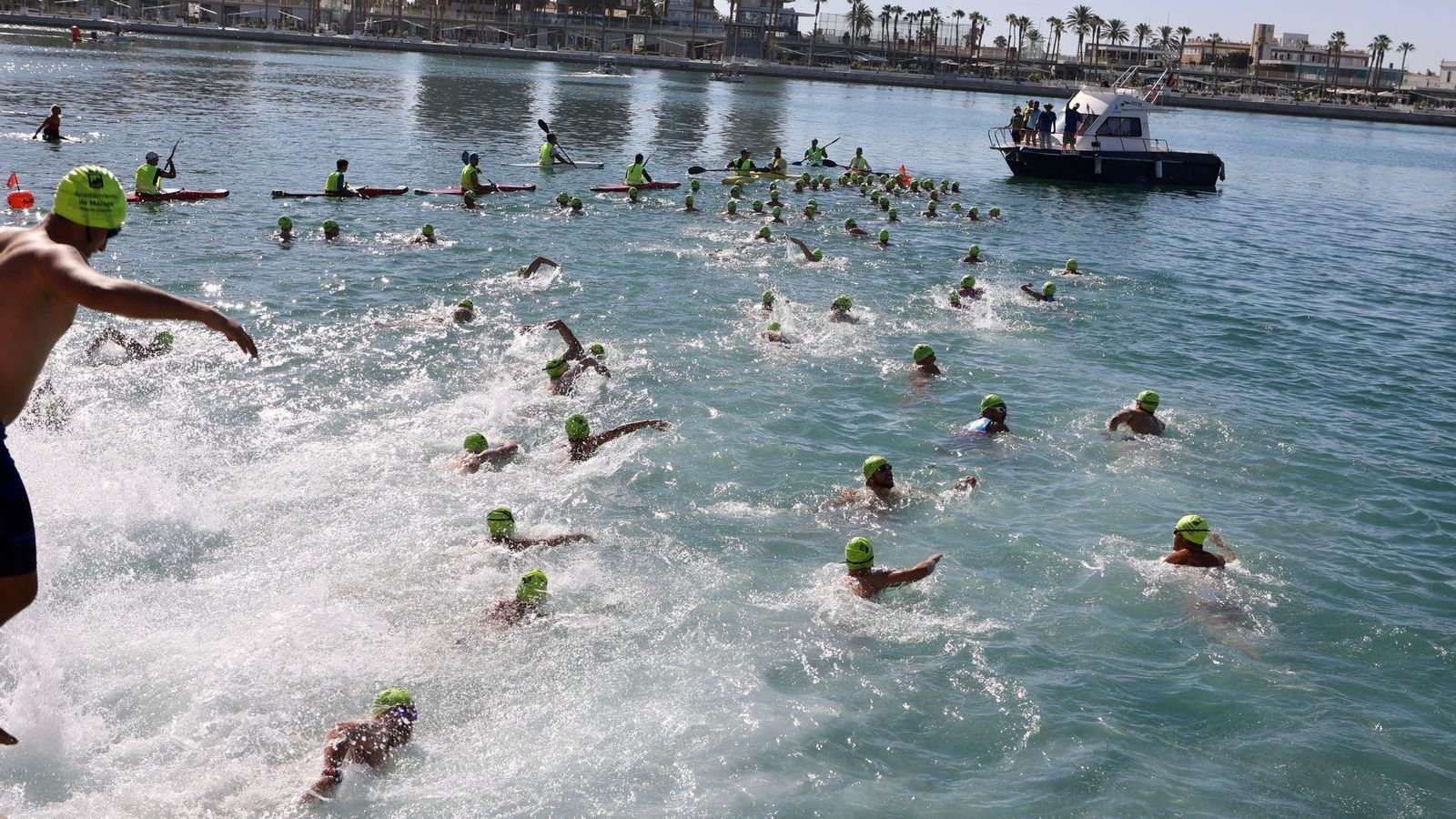 Nadadores se lanzan al puerto de Málaga.