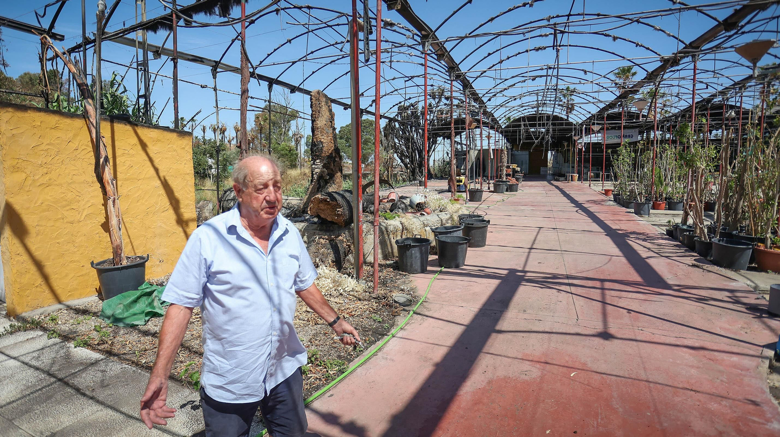 Así son las labores de recuperación de Viveros Olmedo, más de un mes después del incendio que arrasó el negocio