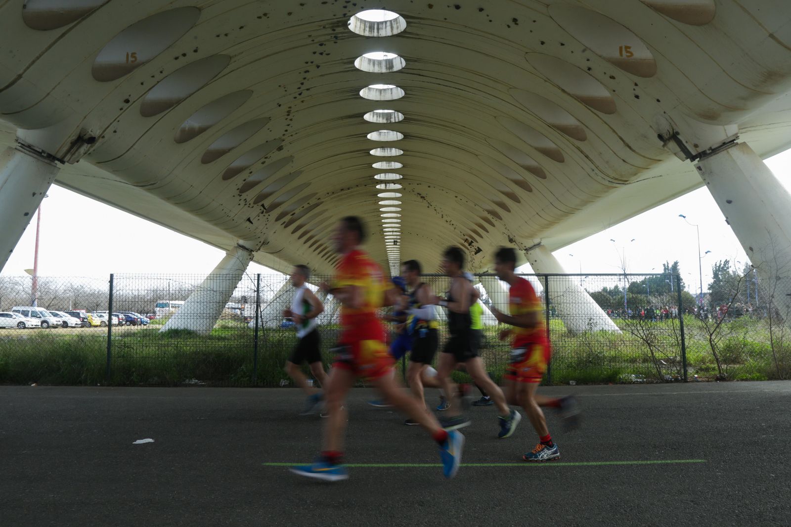Maratón de Sevilla