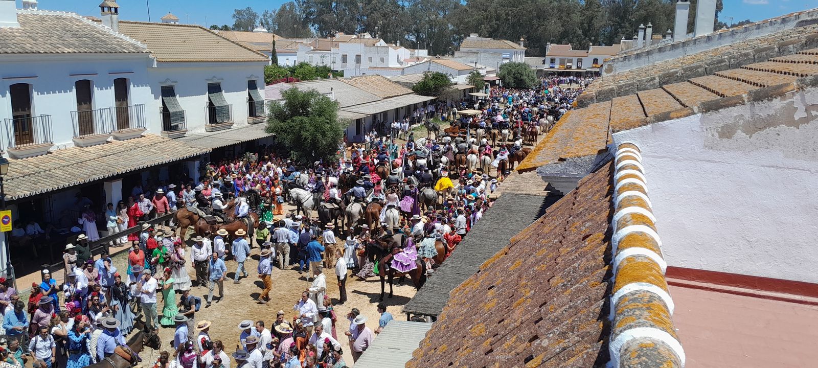 Imágenes de la llegada a la Aldea y presentación de la Hermandad del Rocío de Jerez