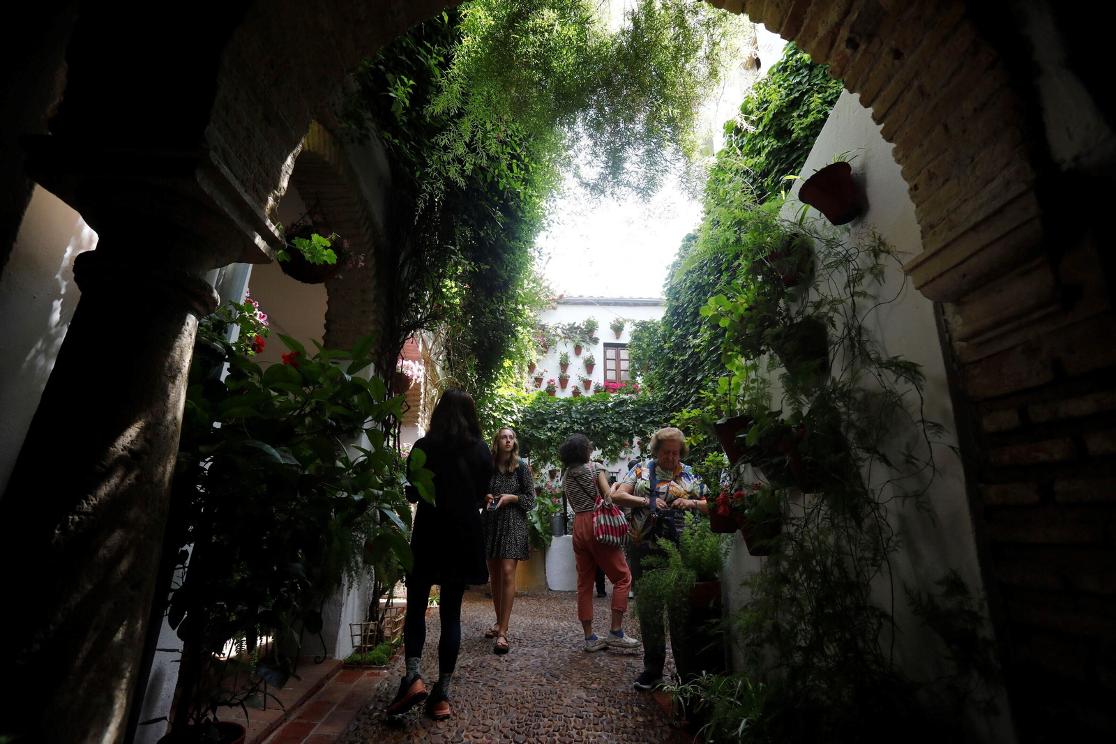 Los patios de Córdoba de la ruta Judería-San Francisco, en imágenes