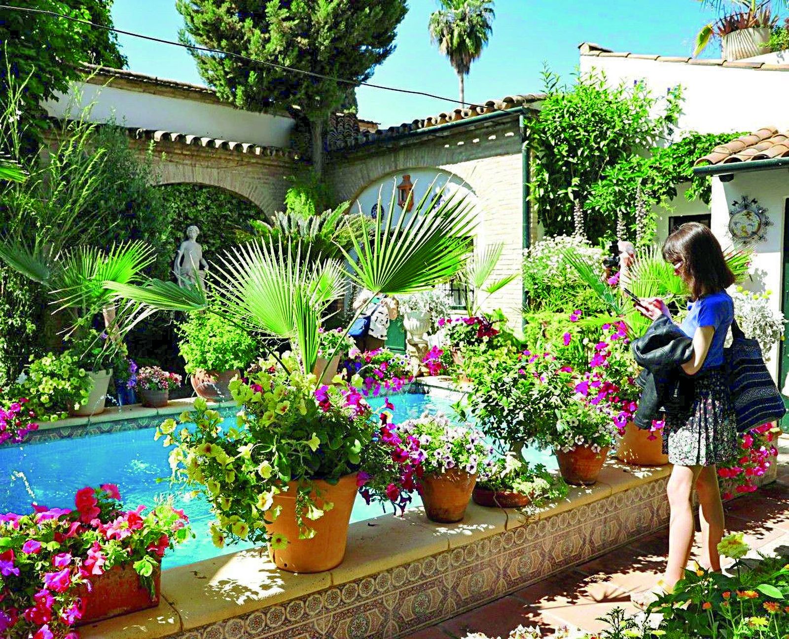 Guía de los Patios: Aceite, 8