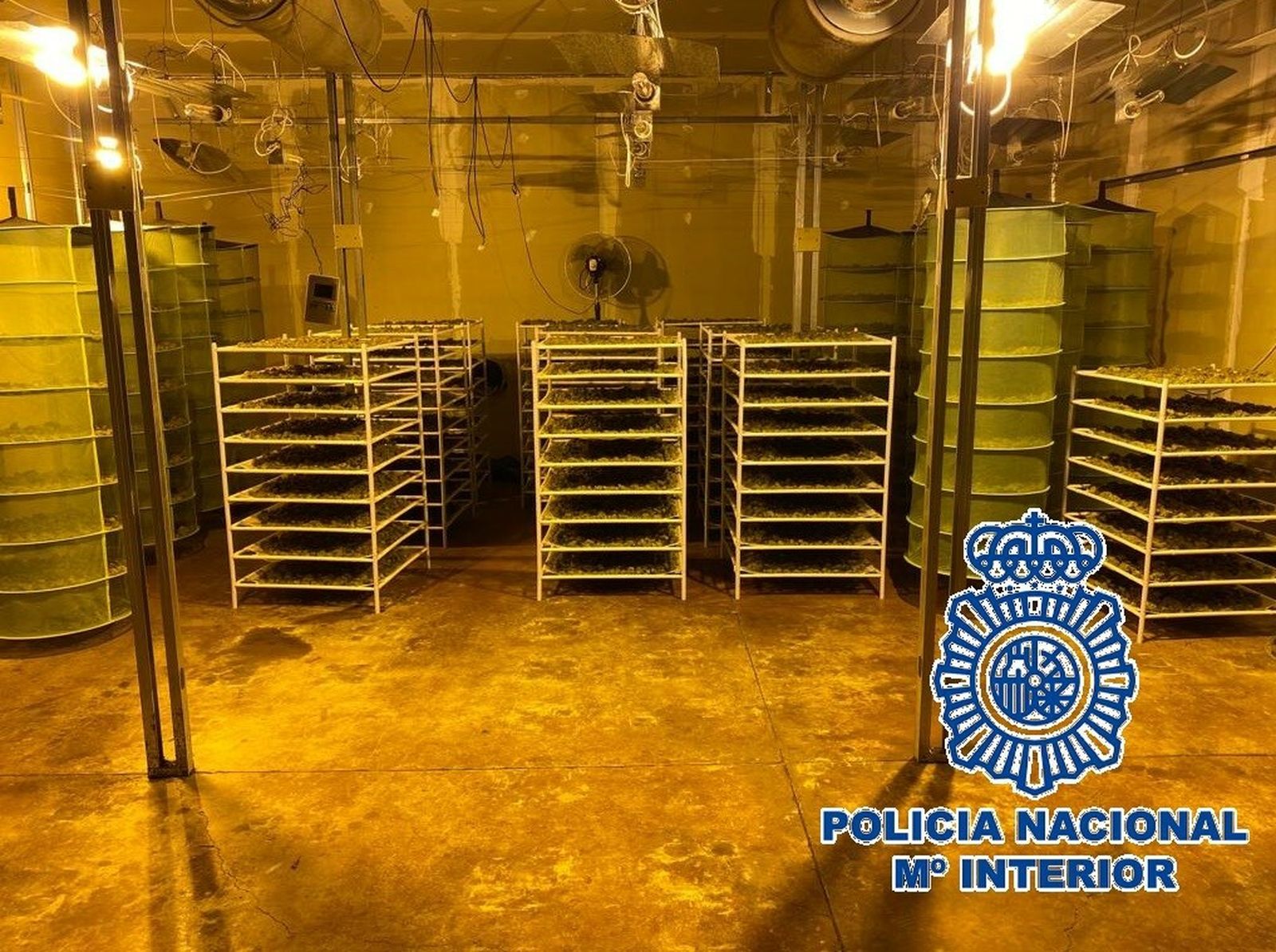 La nave en la que unos ciudadanos chinos cultivaban plantas de marihuana