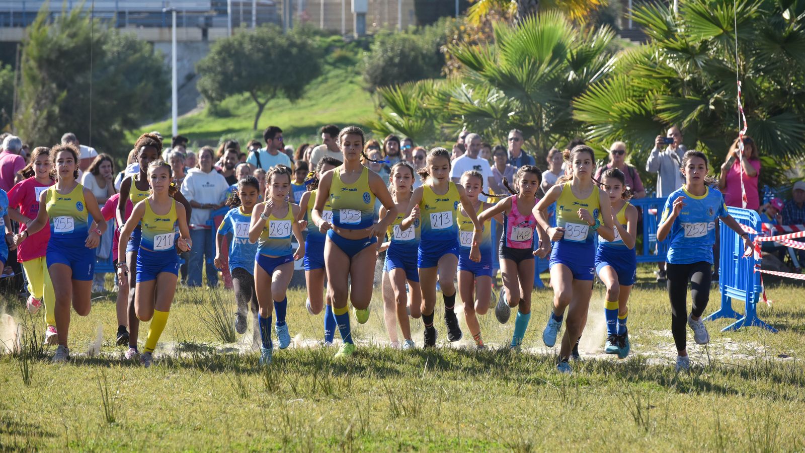 Las fotos del  V cross 'Con el Mar de Fondo' de los Juegos Municipales de atletismo de Algeciras