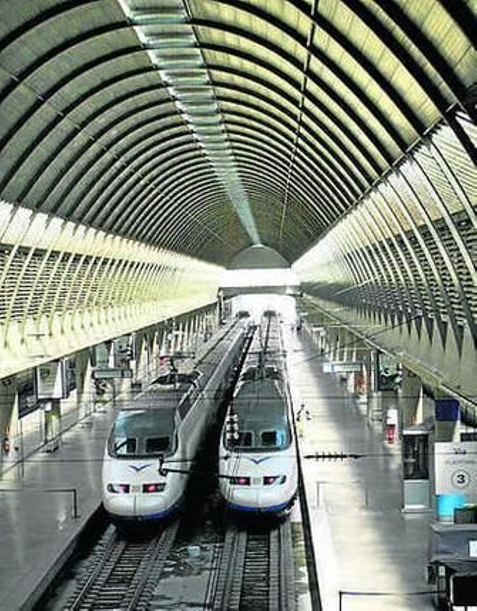 El proyecto no cuenta con plazos.