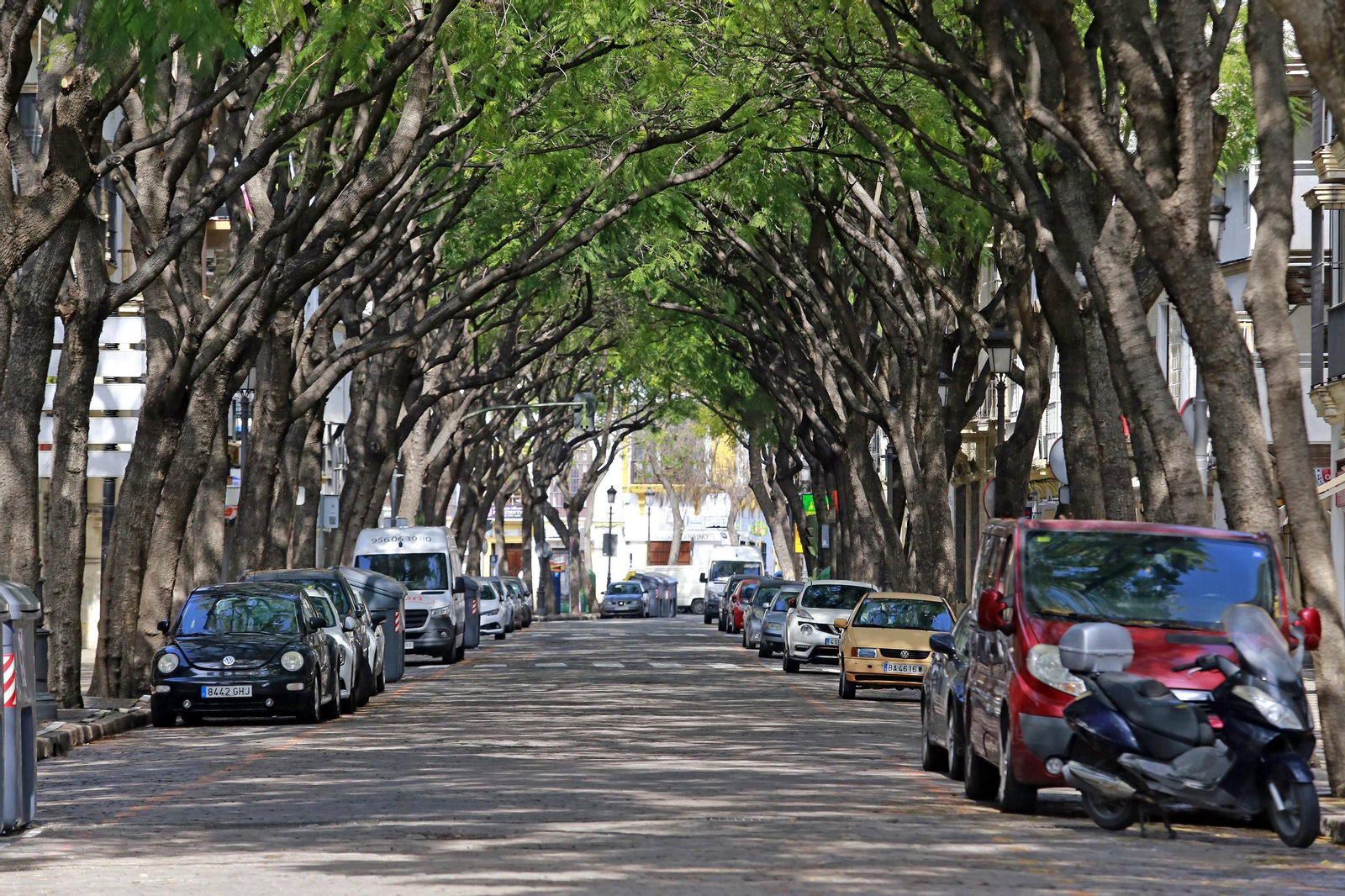 Coronavirus, imágenes del domingo 29 de marzo en Jerez