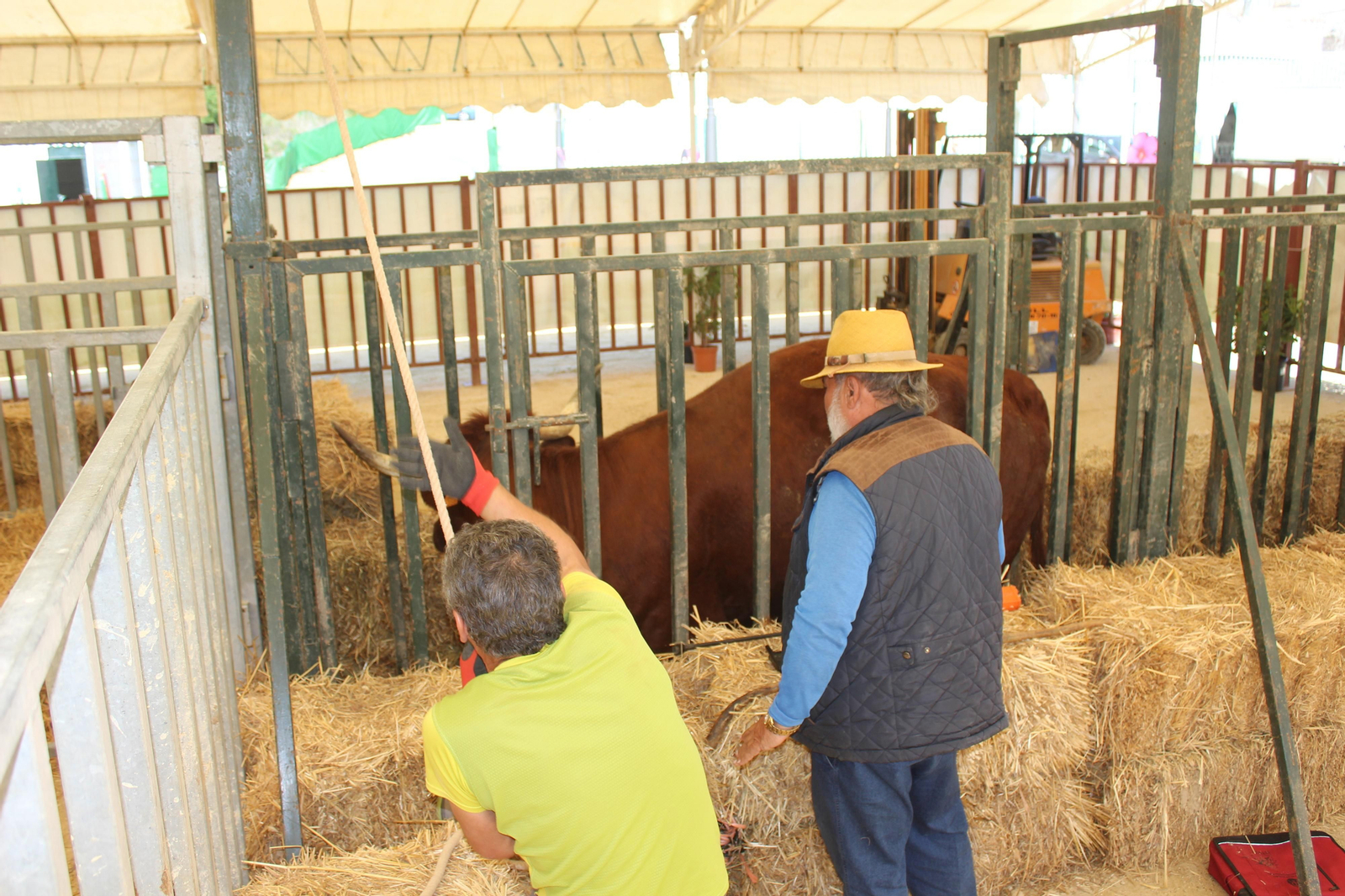 Jueves de feria de Vejer, en imágenes