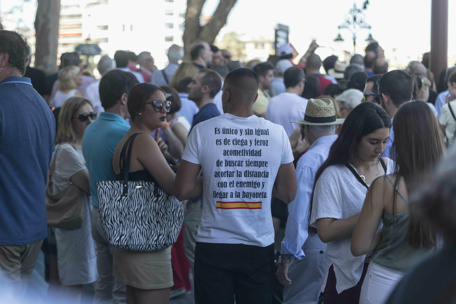 Las imágenes del desfile del Día de las Fuerzas Armadas en Sevilla