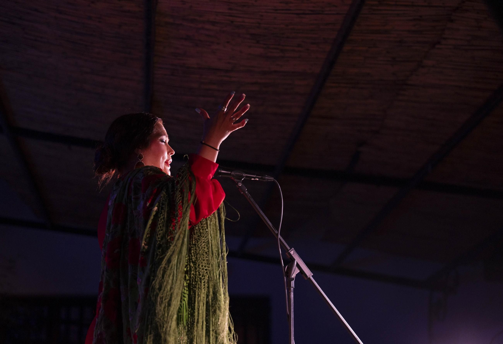Las mejores imágenes del Festival de Flamenco en Fondón