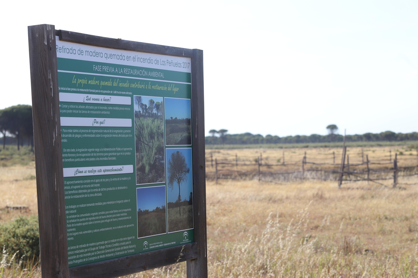 Imágenes del estado en el que se encuentran los caminos del Rocío para la Romería 2023