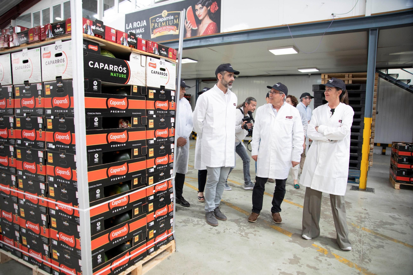 Vea cómo es el trabajo con las fantásticas sandías Premium en Grupo Caparrós