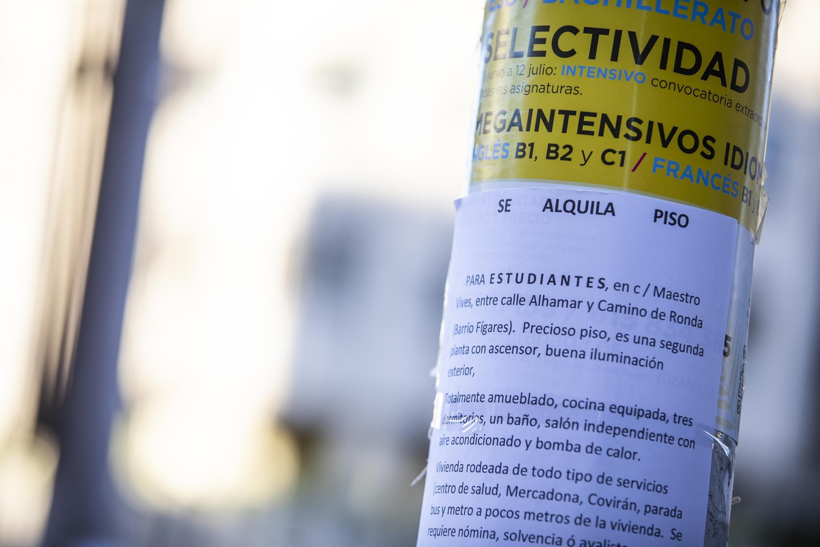 Un cartel de alquiler destinado a estudiantes en el centro de Granada.