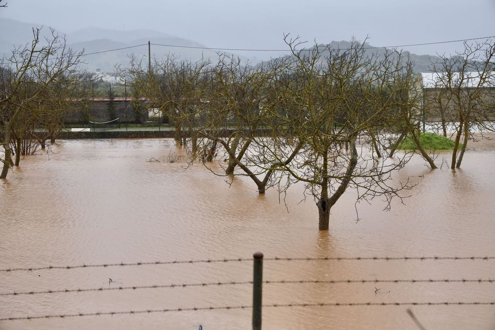 Campos anegados en Ronda.
