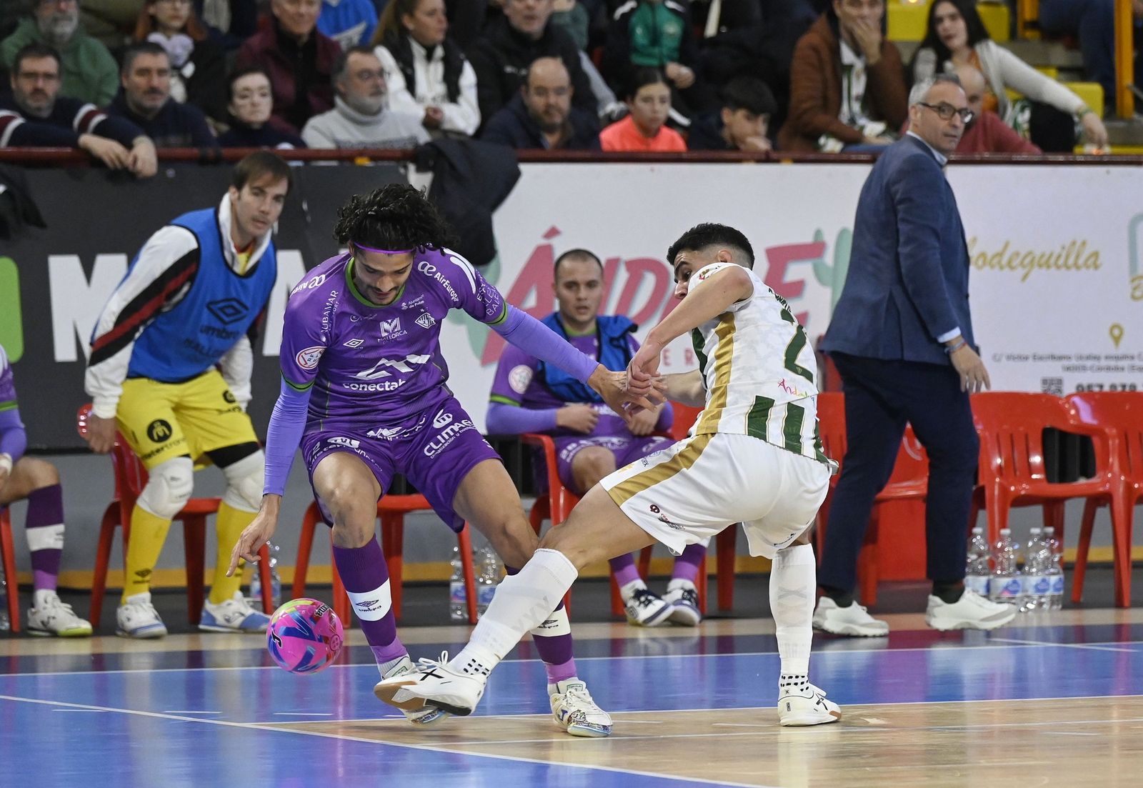 Las mejores fotos del ambiente en Vista Alegre para el Córdoba Patrimonio - Palma Futsal