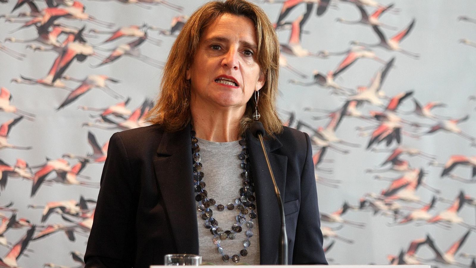La vicepresidenta tercera del Gobierno, Teresa Ribera.