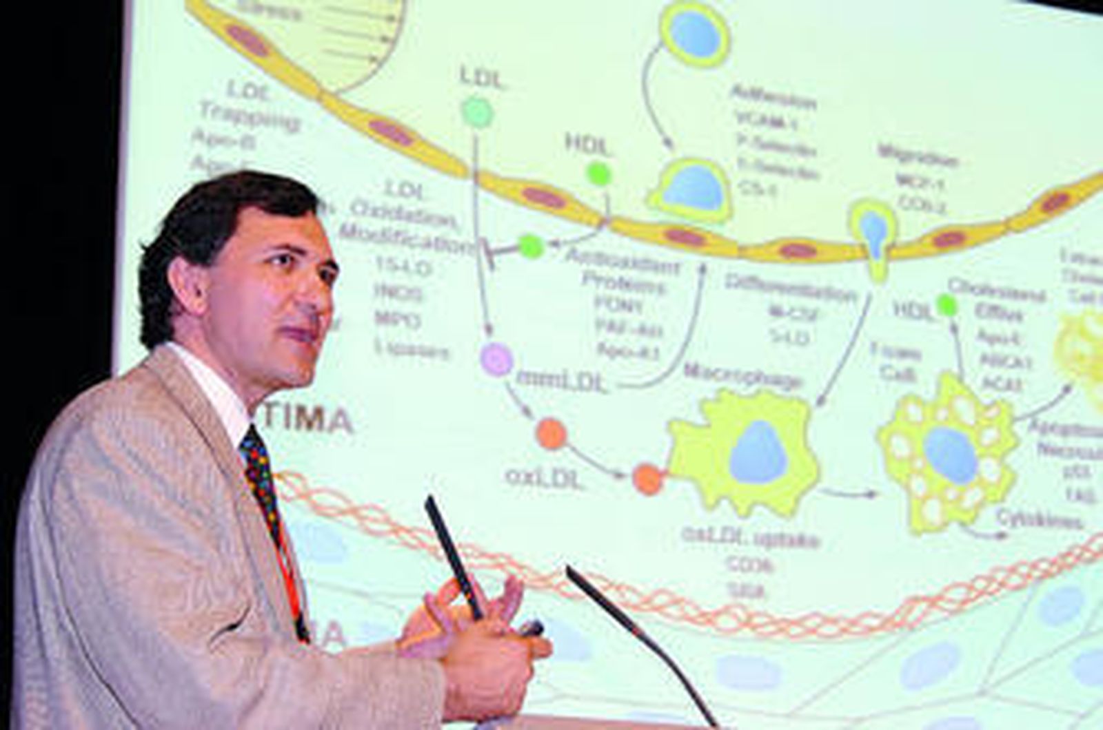 El investigador Roberto Elosua.