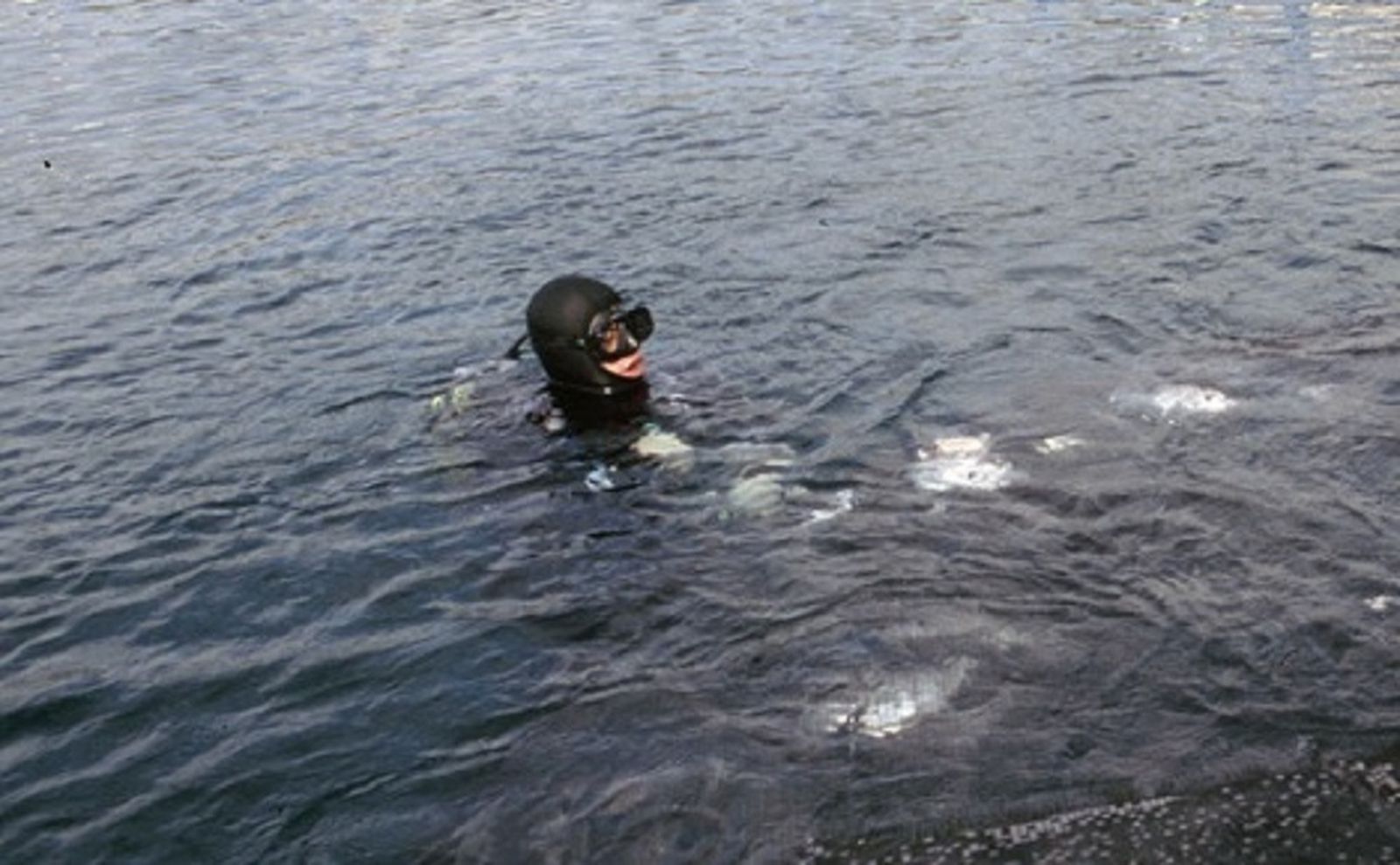 Un máximo de diez licencias para la captura de erizos de mar y ortiguillas en la Costa de Granada