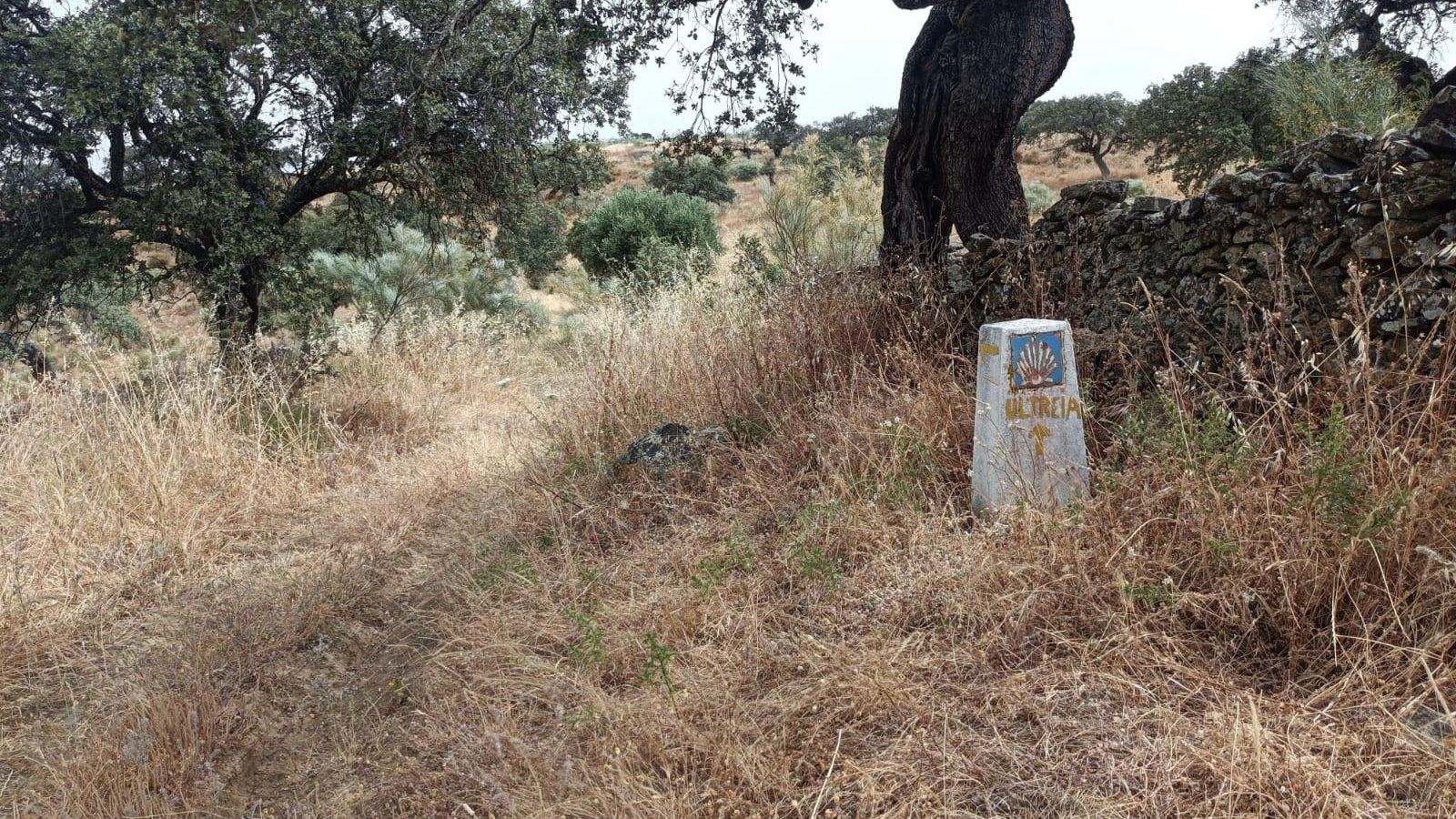 Este mojón indica que nos tenemos que salir del carril más ancho y pasar por una trocha poco desbrozada.