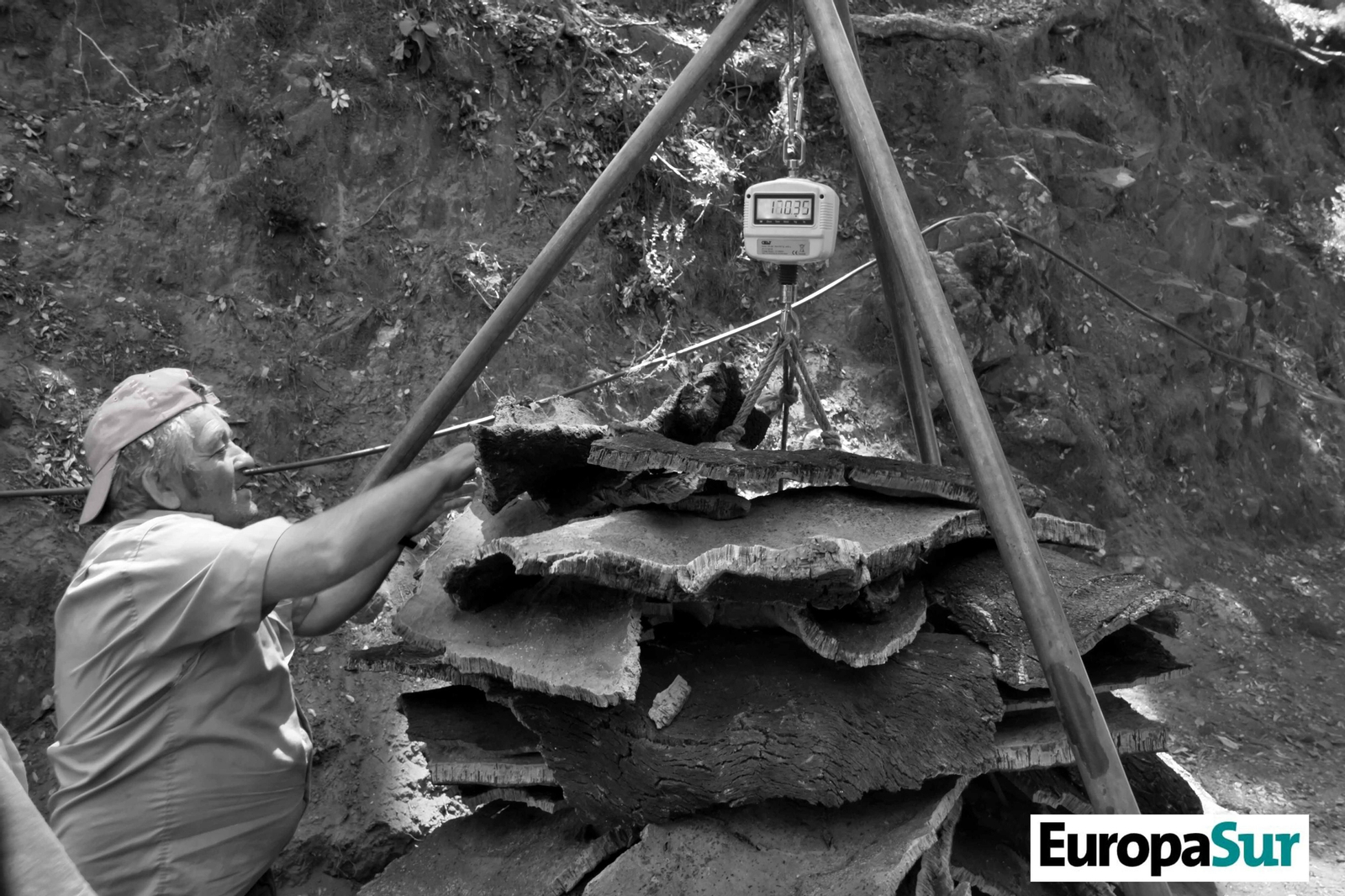 Fotografías de 'El último bosque', por David Coronado