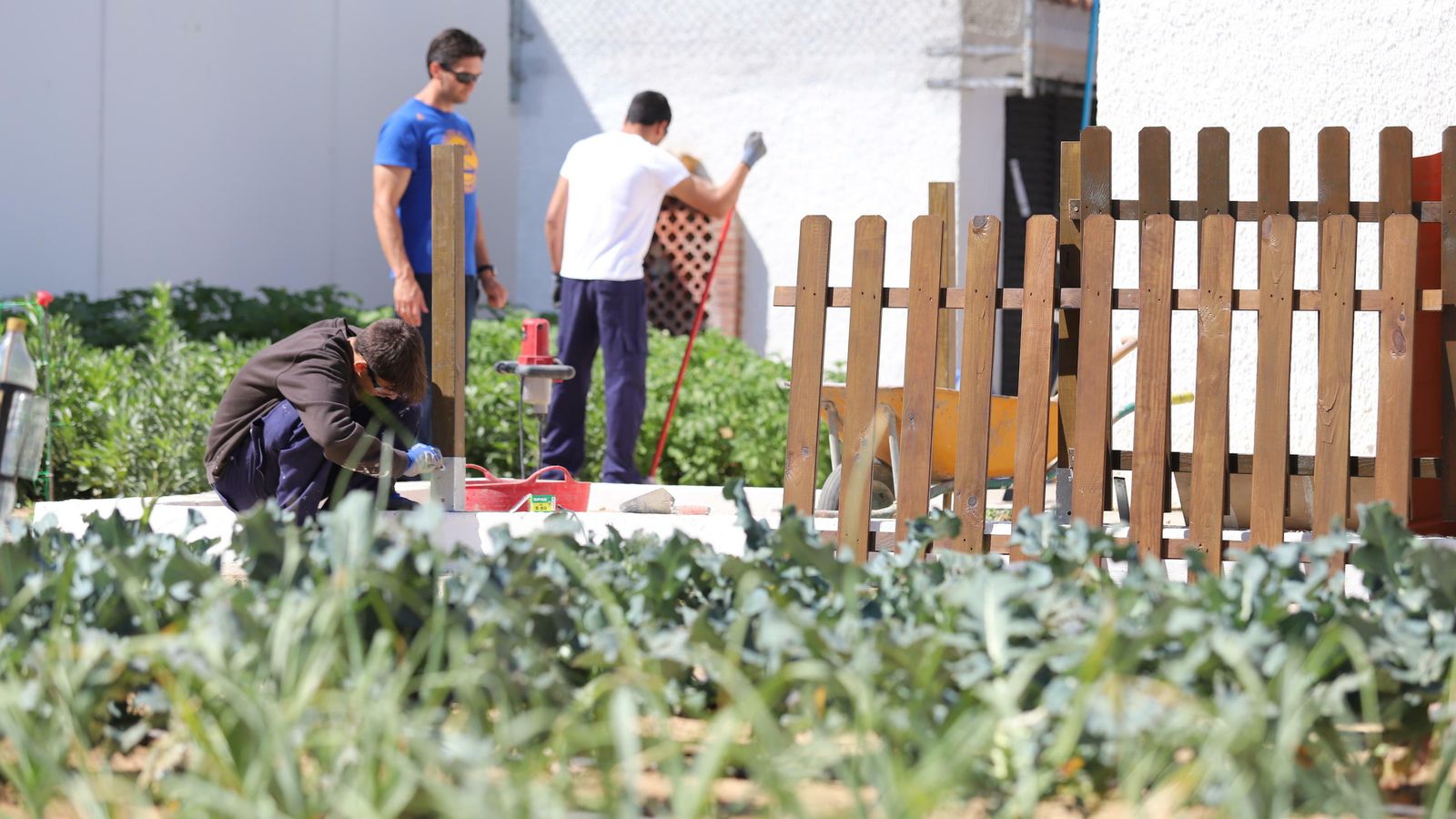 Chicos trabajando en el huerto del centro de internamiento.