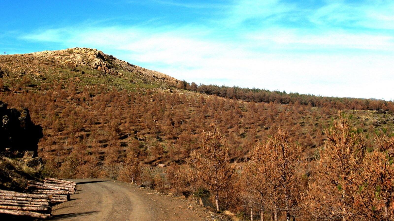 Sierra de los Filabres.