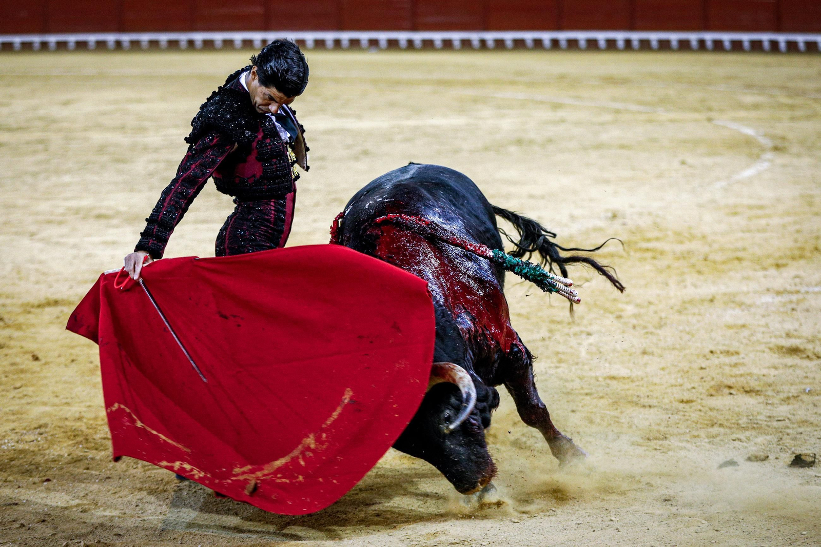 Imágenes de la corrida de toros en El Puerto: Manzanares, Roca Rey y Pablo Aguado