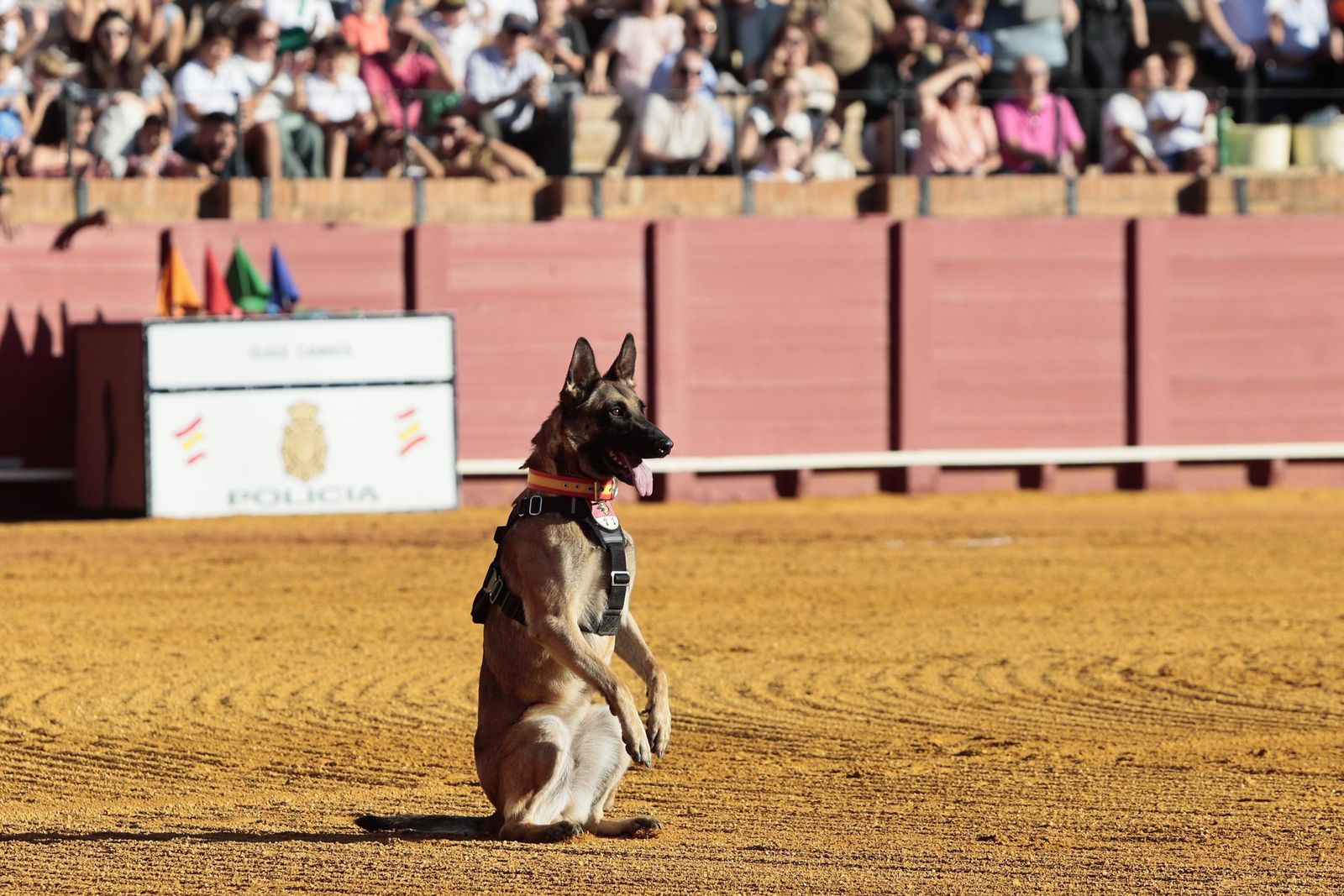 Las imágenes de la espectacular exhibición de la Policía Nacional en la Maestranza