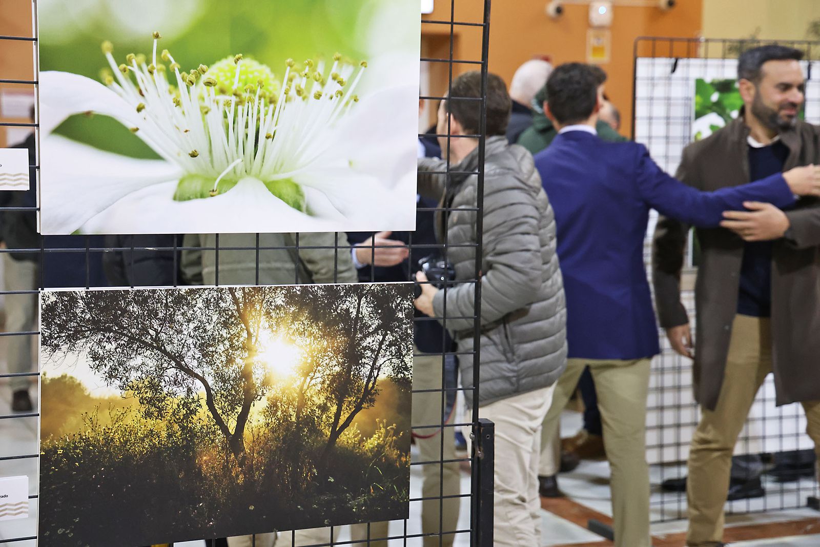 Exposición del I Rally Fotográfico de La Canastita