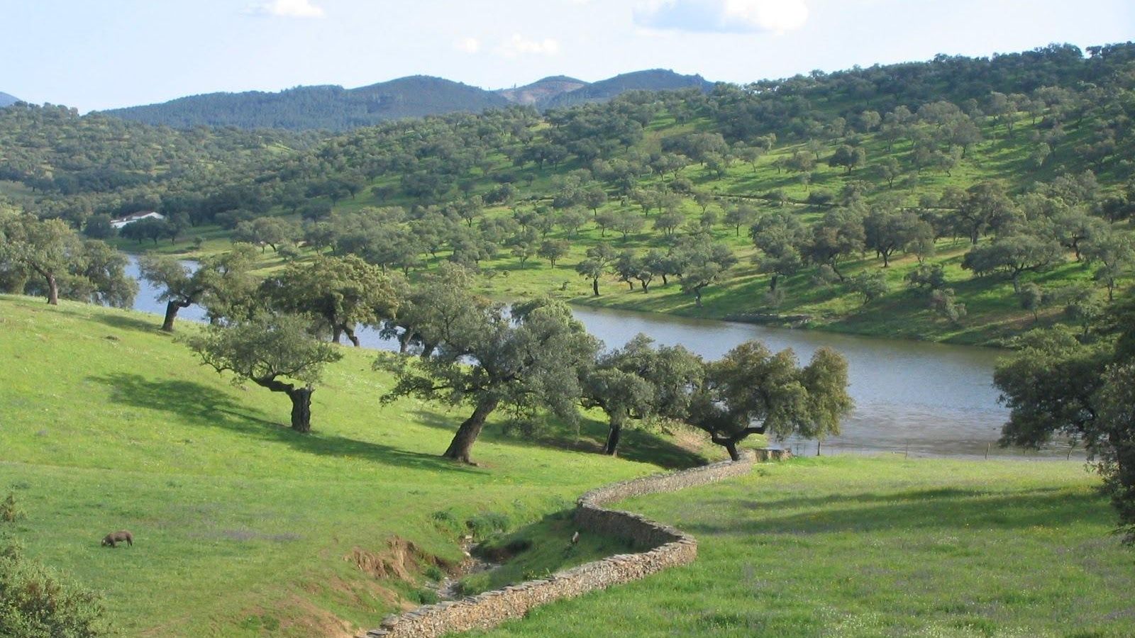 Sierra Aracena