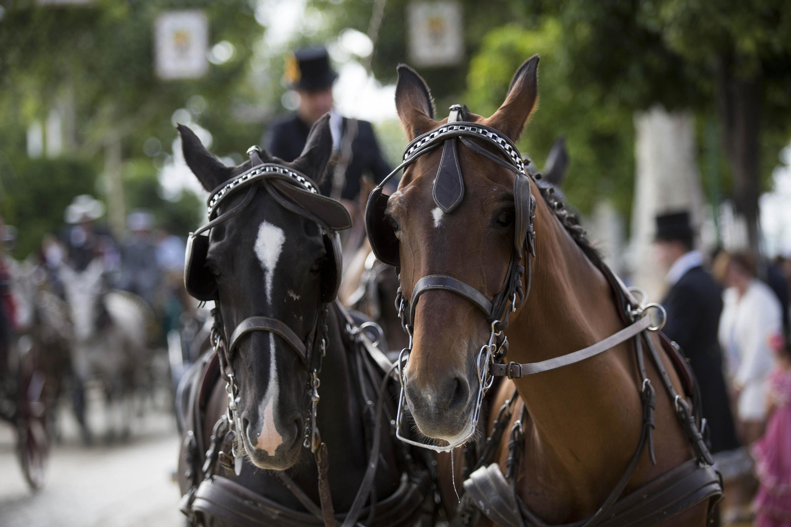 El Domingo de Feria, en imágenes