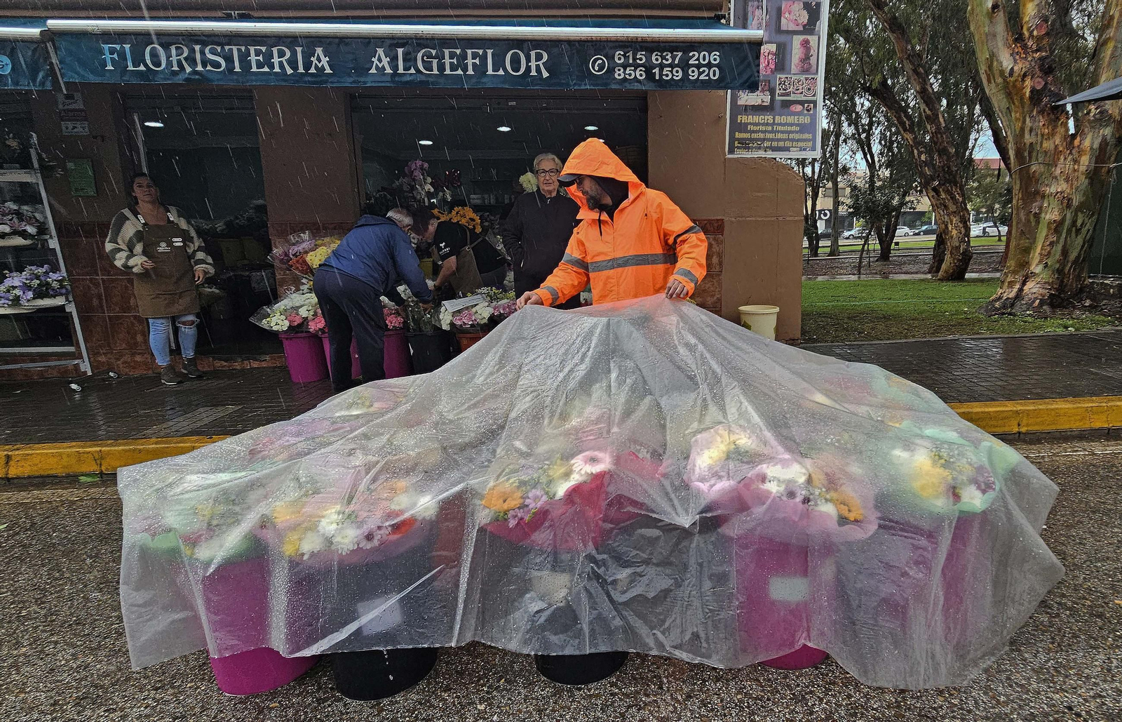 Fotos de los preparativos para Tosantos en el cementerio de Algeciras
