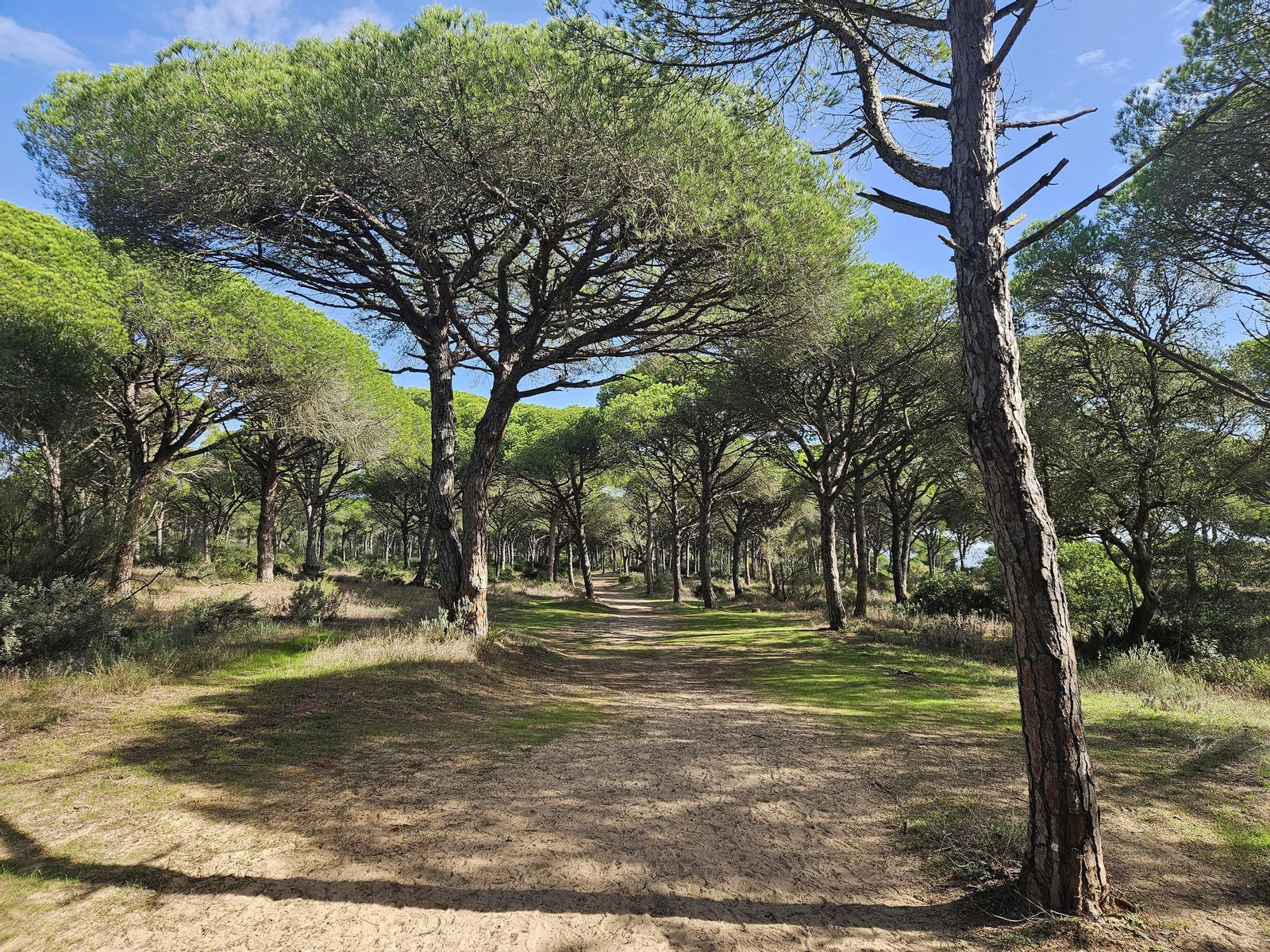Sendero Torre del Tajo
