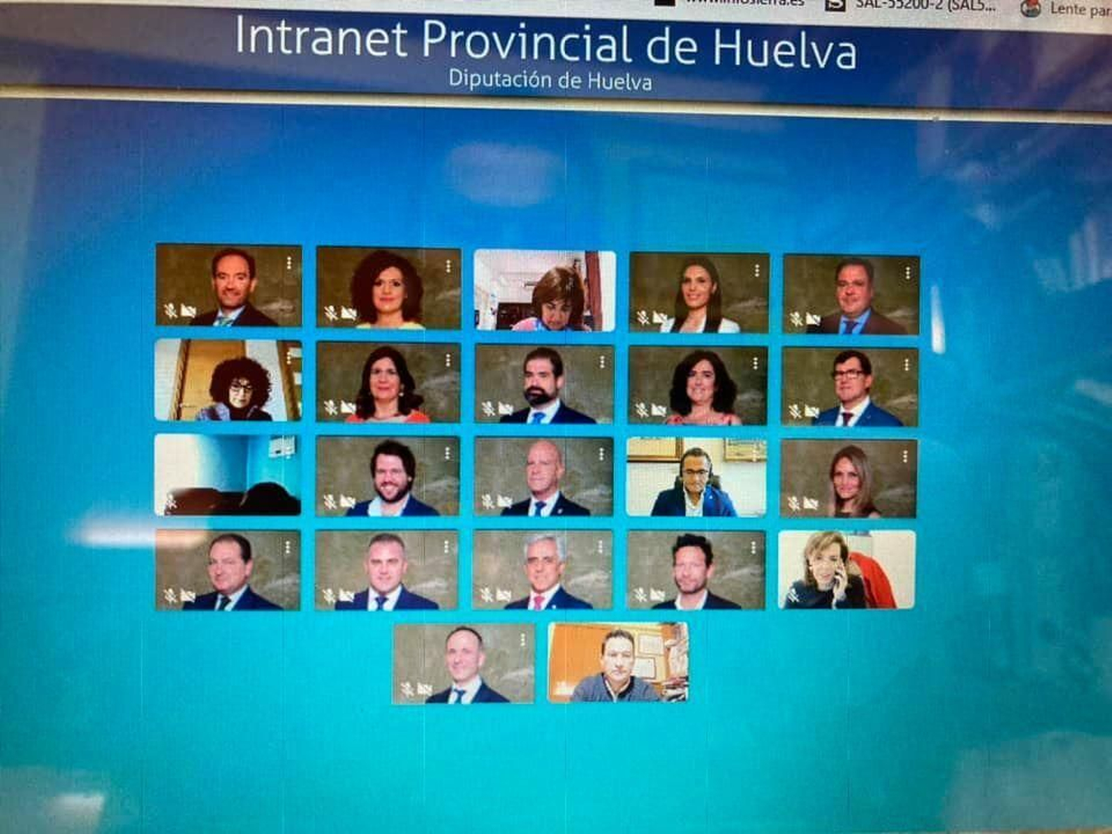 Imagen del pleno telemático de la Diputación de Huelva.
