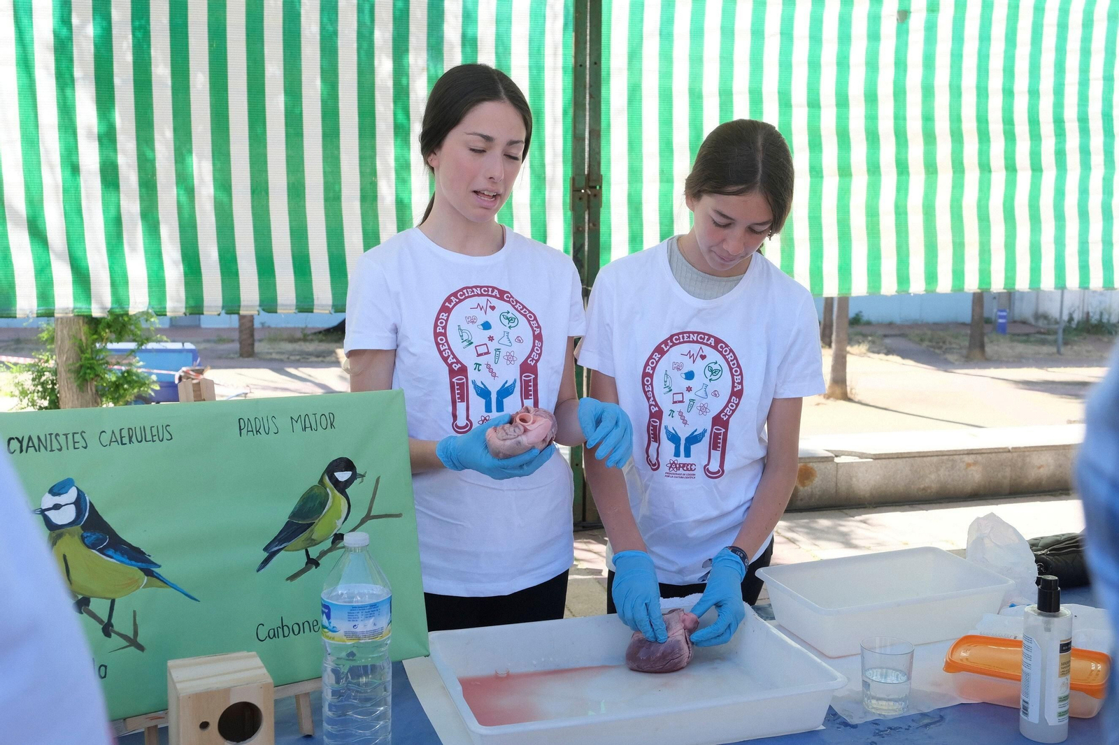 El Paseo por la Ciencia de Córdoba, en imágenes