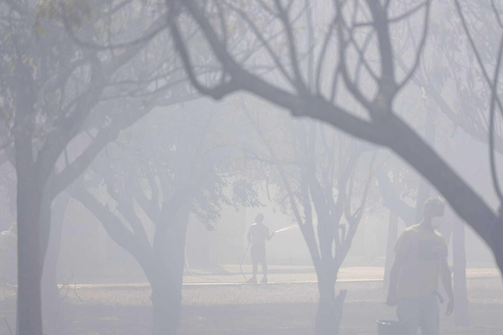 El fuego arrasa Las Canteras en Puerto Real