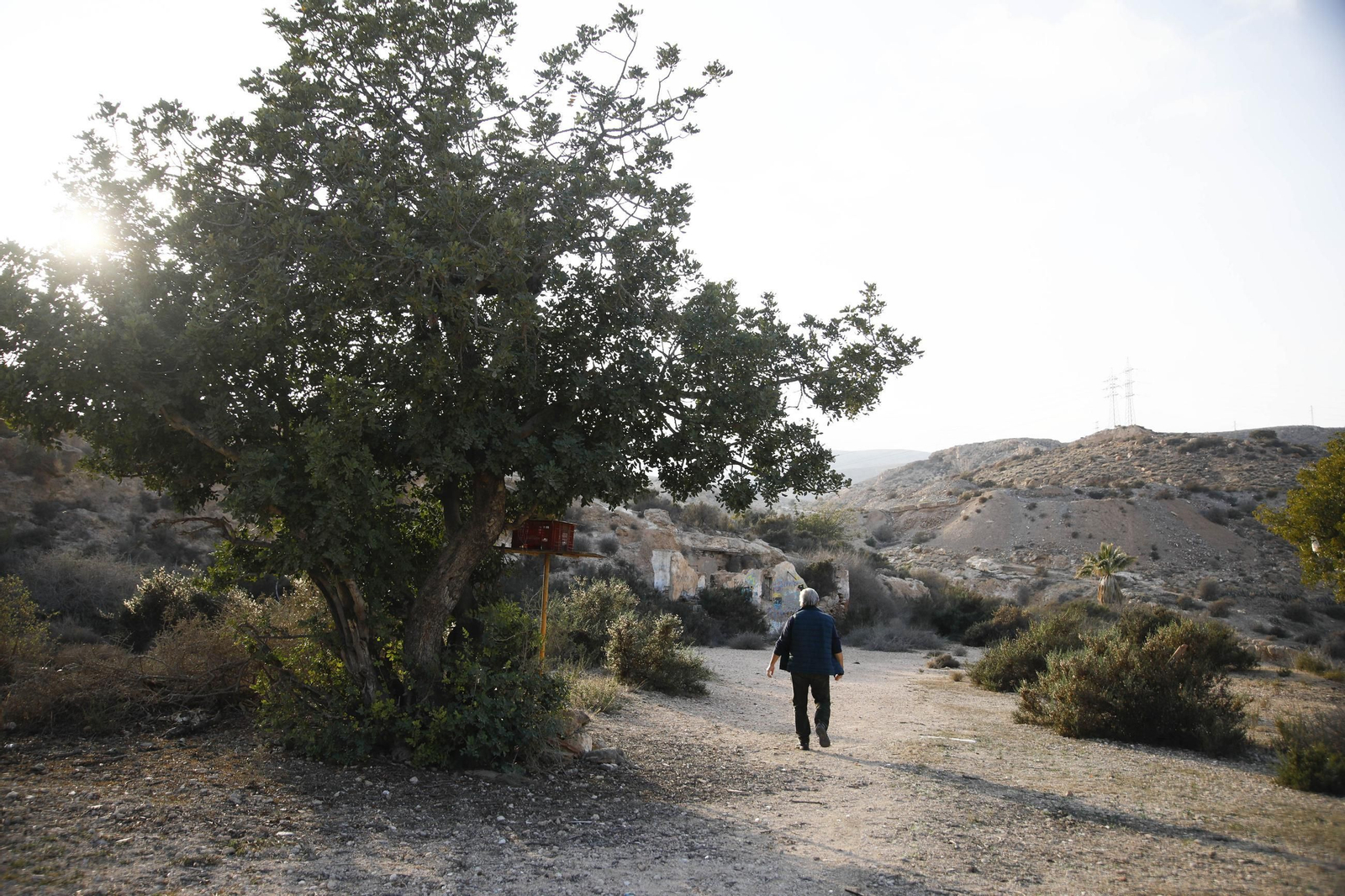 Imágenes de los refugios de la guerra civil descubierto en el barrio de Las Trincheras