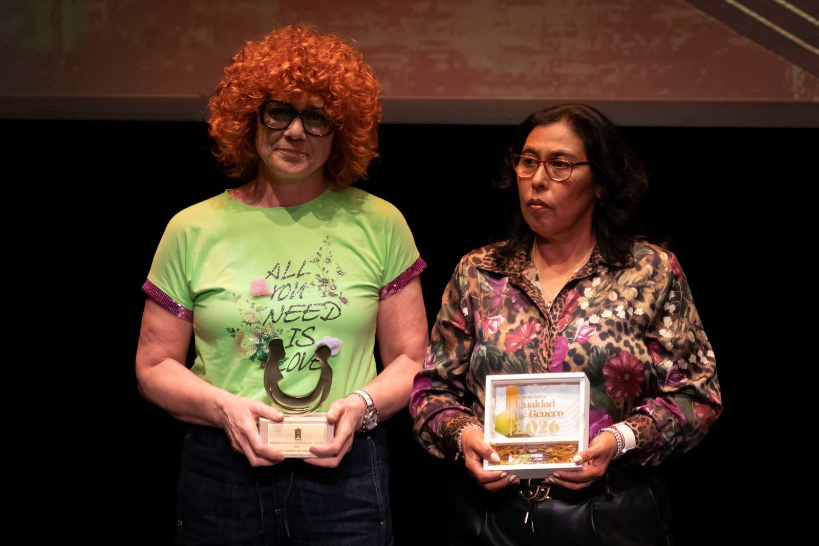 Los XIV Premios por la Igualdad de Género de la Diputación de Granada ...