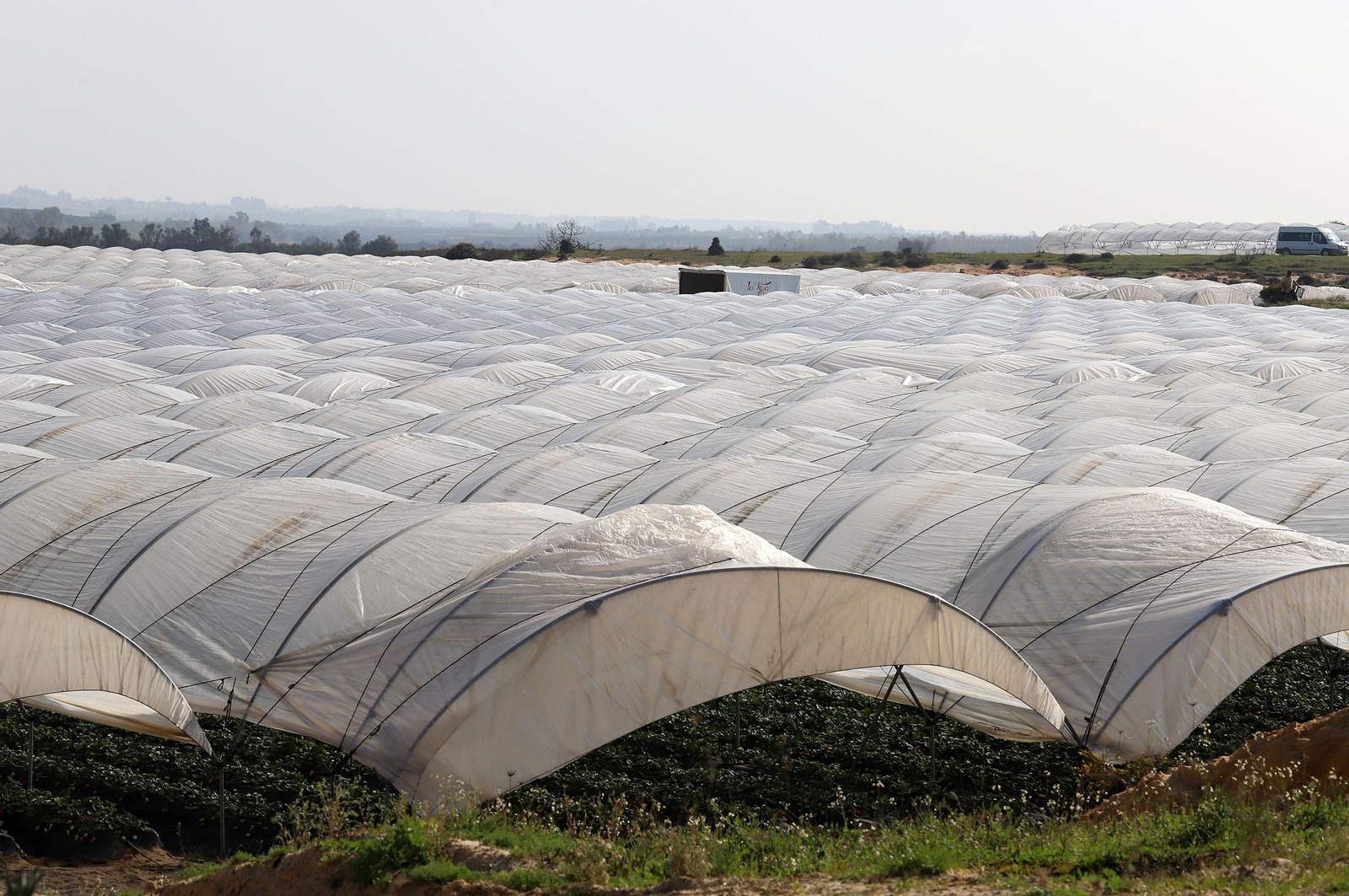 Imágenes de la realidad del trabajo en el campo