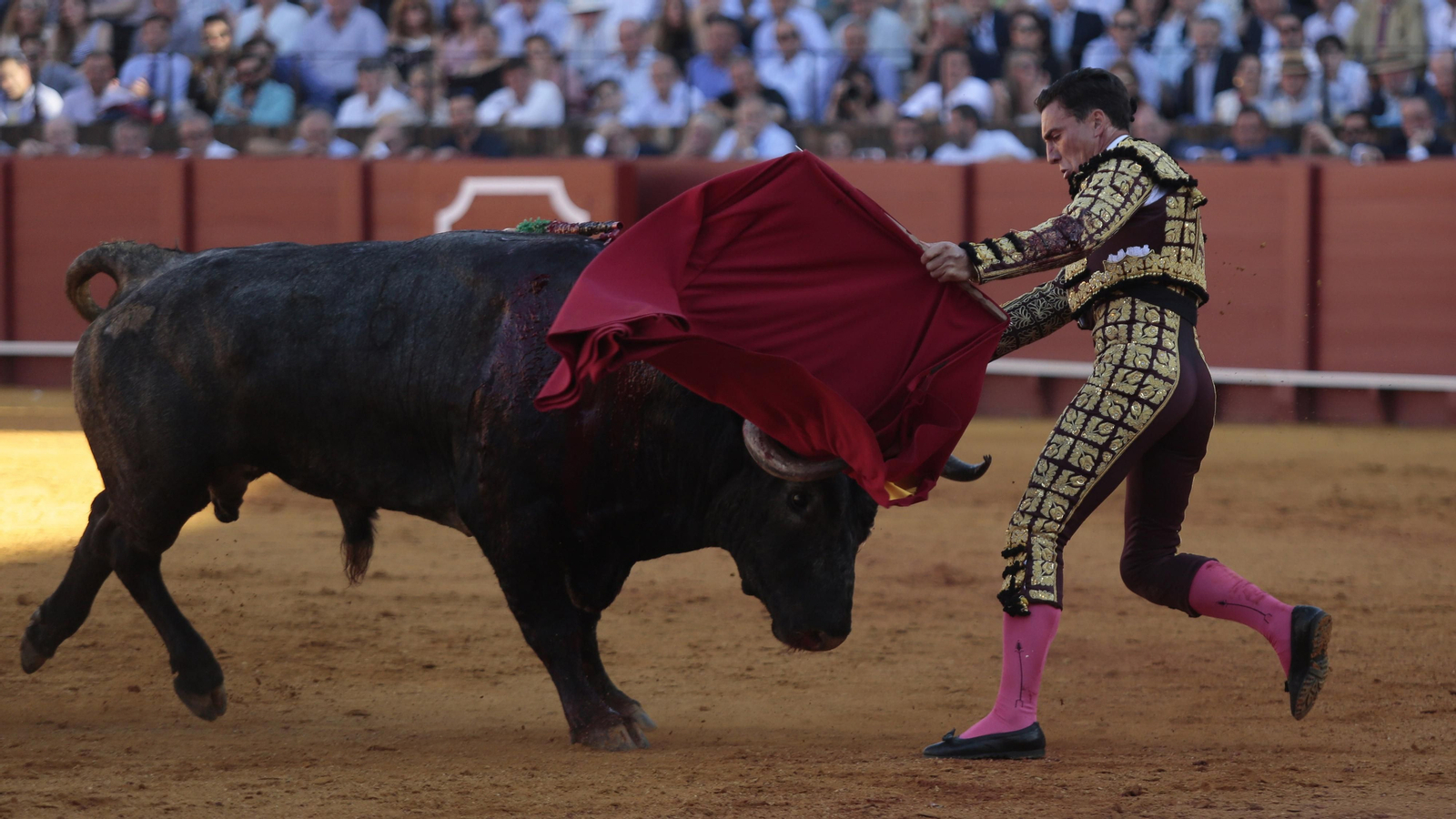 Las imágenes de la corrida de Los Miura