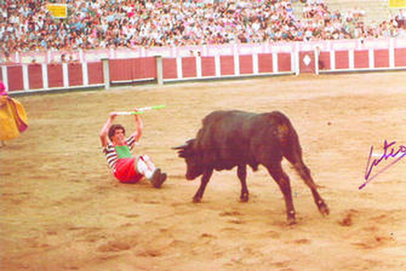 Angelillo en un arriesgado y personal par de banderillas.